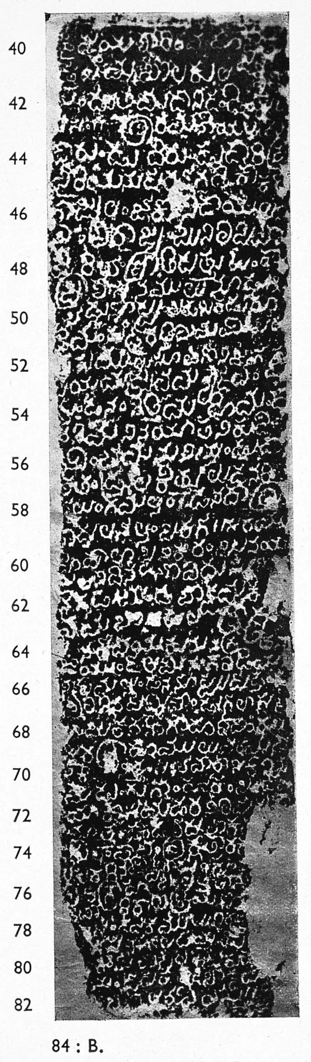 Ink impression of face II of the "Māṭēru inscription of Malla", white Telugu-Kannada letters on a black ground, with line numbers in the margin.