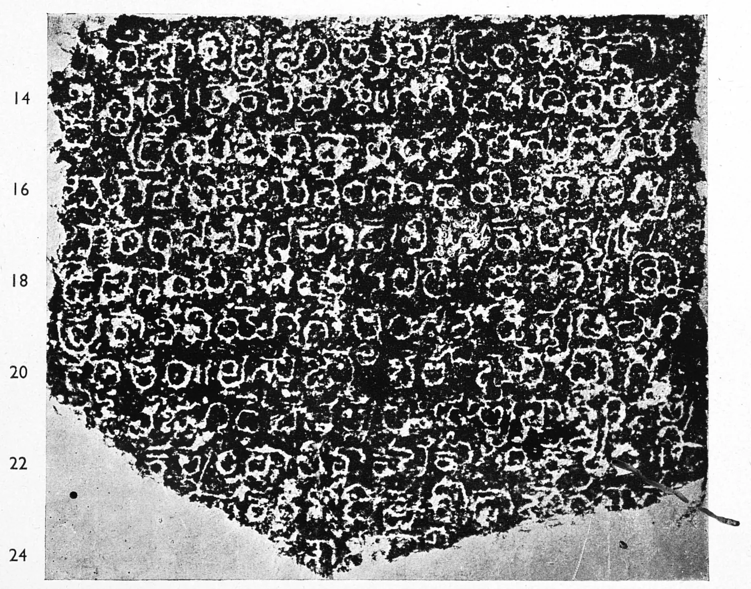 Ink impression of face II of the "Rāyaparti inscription of Mahādēva", white Telugu-Kannada letters on a black ground, with line numbers in the margin.