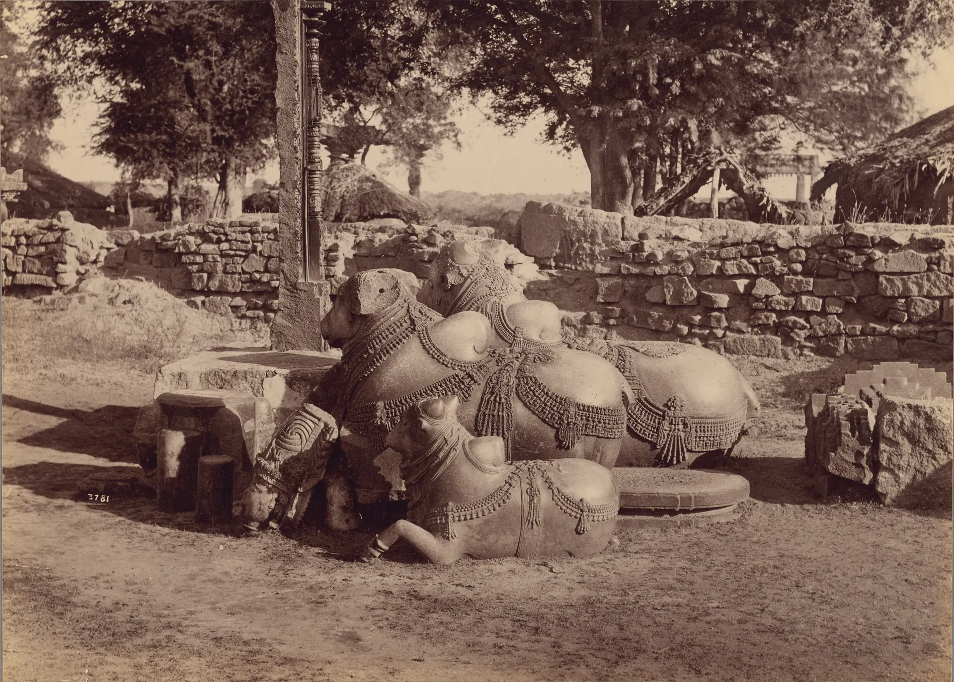 Three large carved stone bulls (Nandis) lying together on bare ground, hung with carved bells and chains, beside a fallen pillar base and a tall carved pillar, with a rough stone wall, thatched huts and trees behind.