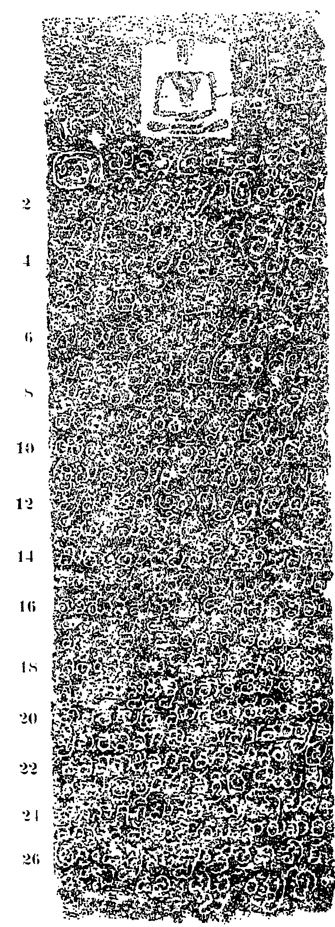 Ink impression of one face of an inscribed pillar: at the top a seated Jaina figure in a pale square, flanked by faint carvings, above about twenty-seven lines of Kannada letters, white on a speckled ground, numbered in the left margin.
