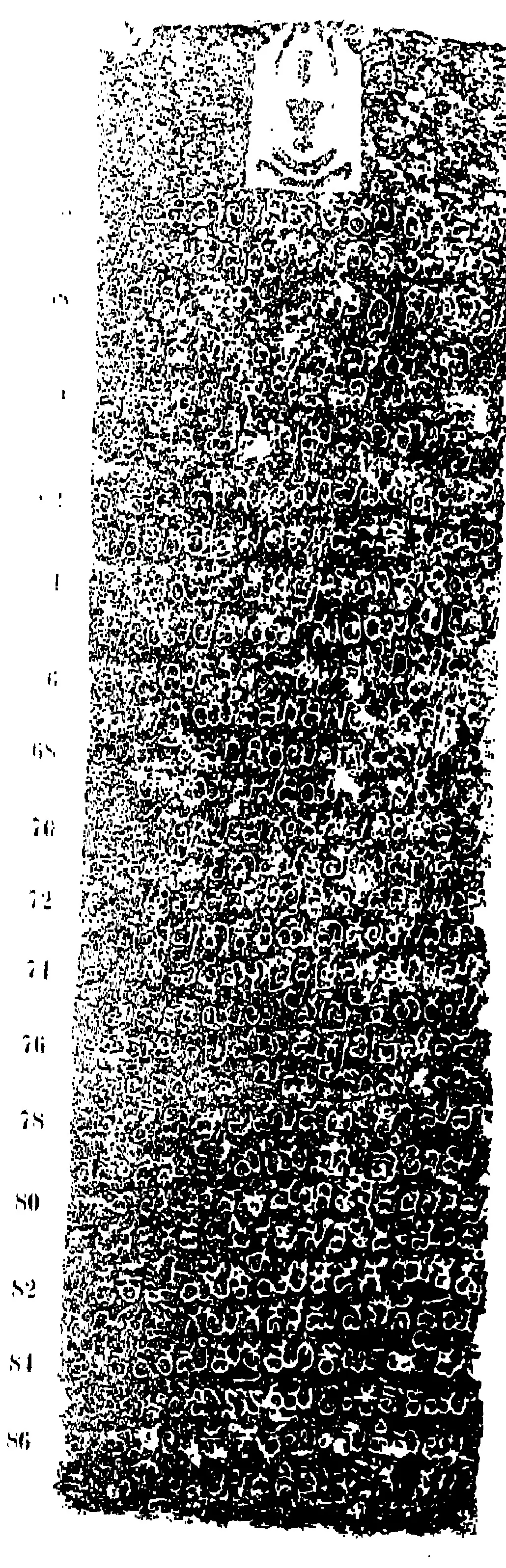 Ink impression of one face of an inscribed pillar: a seated Jaina figure at the top above about thirty rows of worn Kannada letters, white on a speckled ground, with line numbers in the left margin.