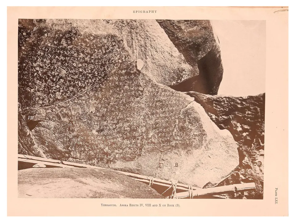 Close photograph of a large weathered boulder face covered with rows of Brahmi letters, marked B, with bamboo poles lashed along its foot.