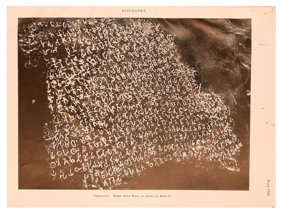 Close photograph of a dark rock surface, marked F, densely covered with Brahmi letters that have been whitened so that they stand out.