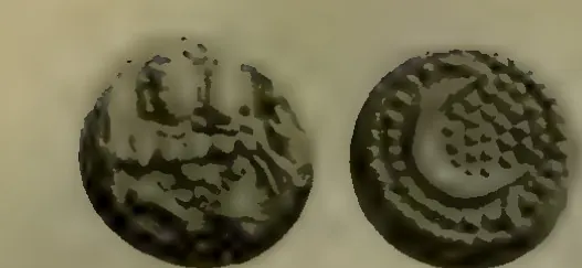Photograph of the two sides of a small gold coin, seated figures on one side and an Arabic letter on a dotted field on the other.