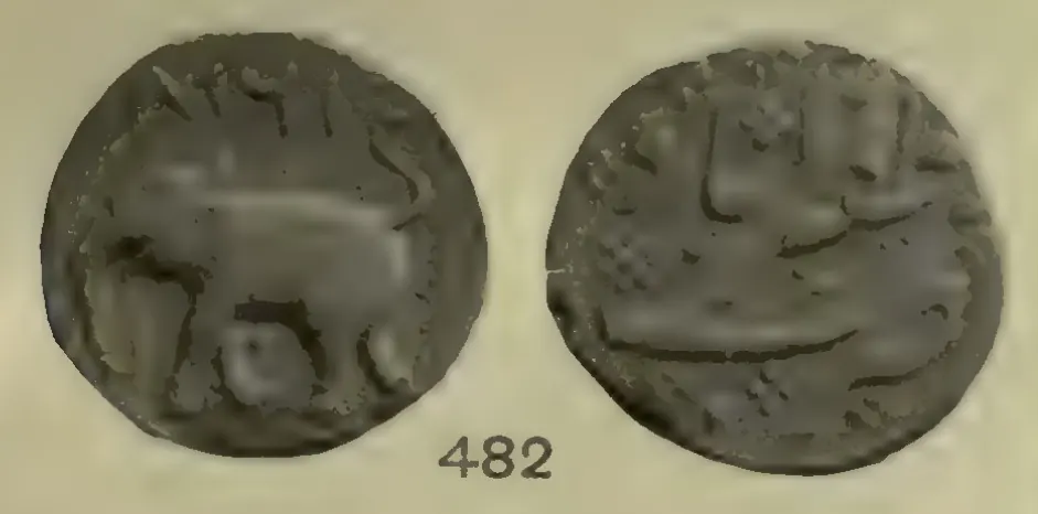 Photograph of the two sides of a copper coin, an elephant on one side and a Persian inscription on the other, with the number 482.