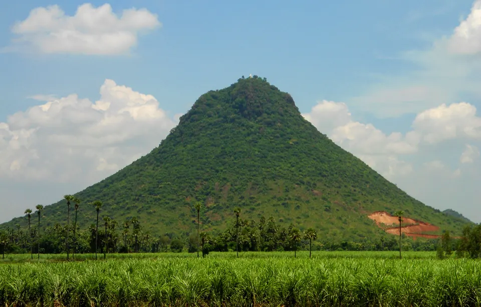 A steep cone-shaped hill covered in green trees rising above flat green paddy fields and a line of palm trees.