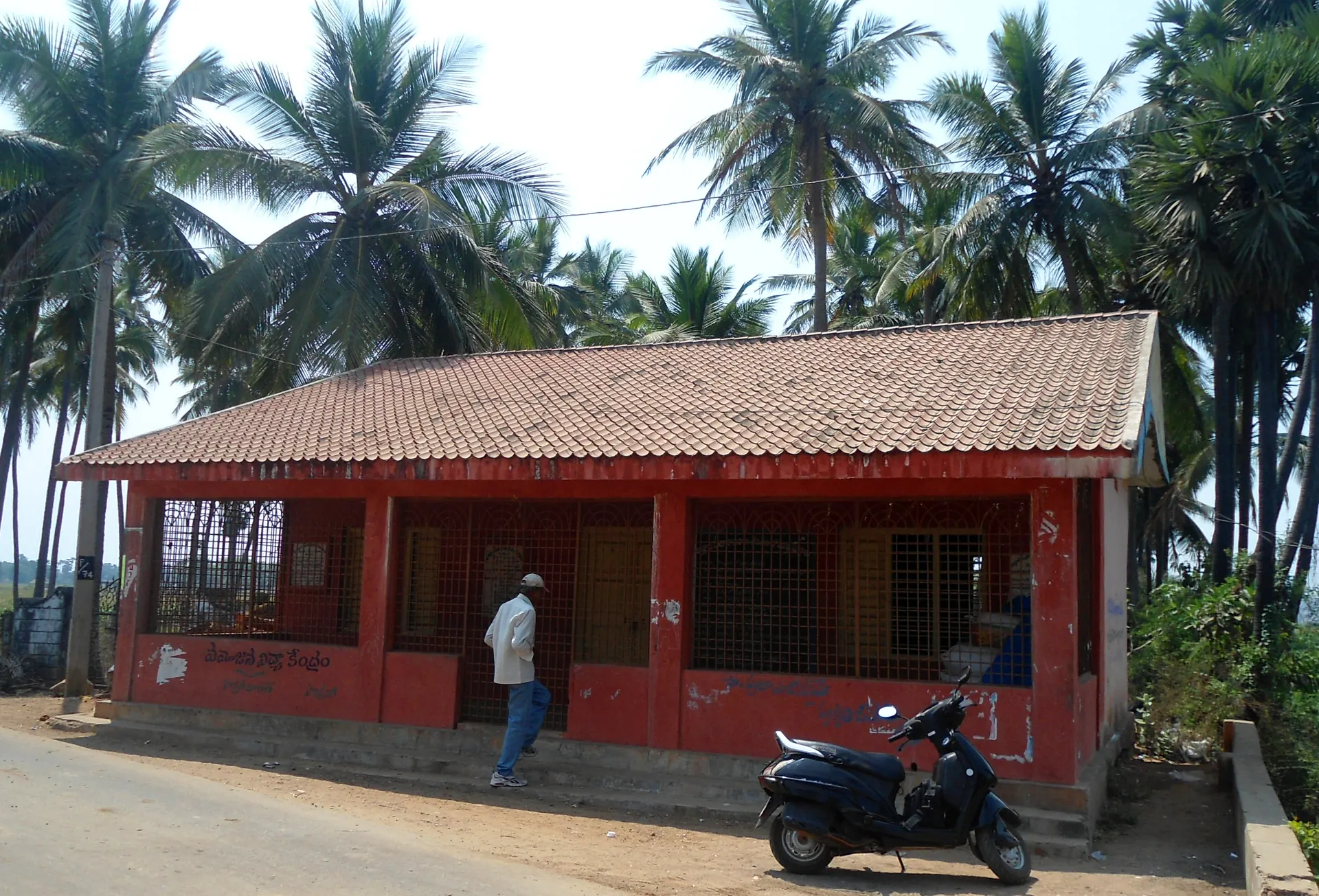 A small single-storeyed house with a red tiled roof and red walls, with a scooter parked in front and coconut palms behind.