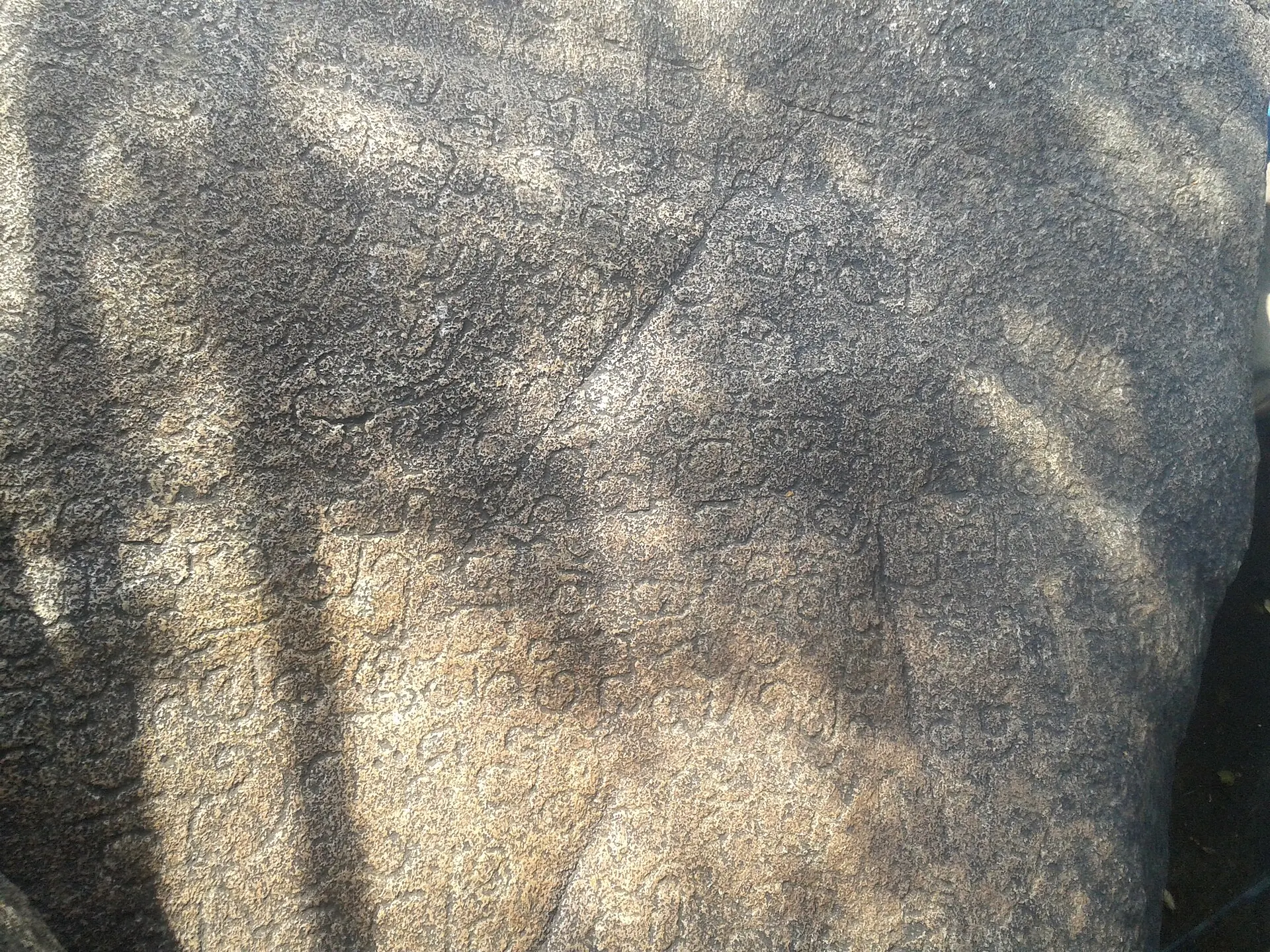 A close view of a smooth grey rock face in dappled shade, covered with faint rows of small carved letters.