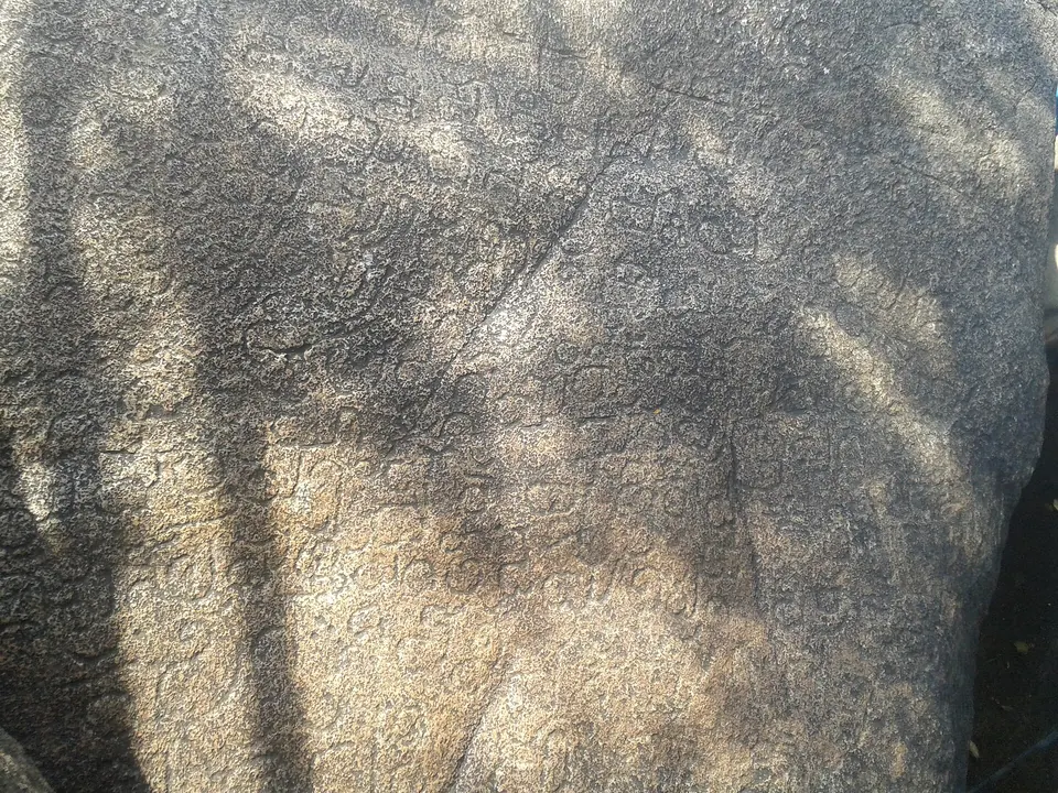 A close view of a smooth grey rock face in dappled shade, covered with faint rows of small carved letters.