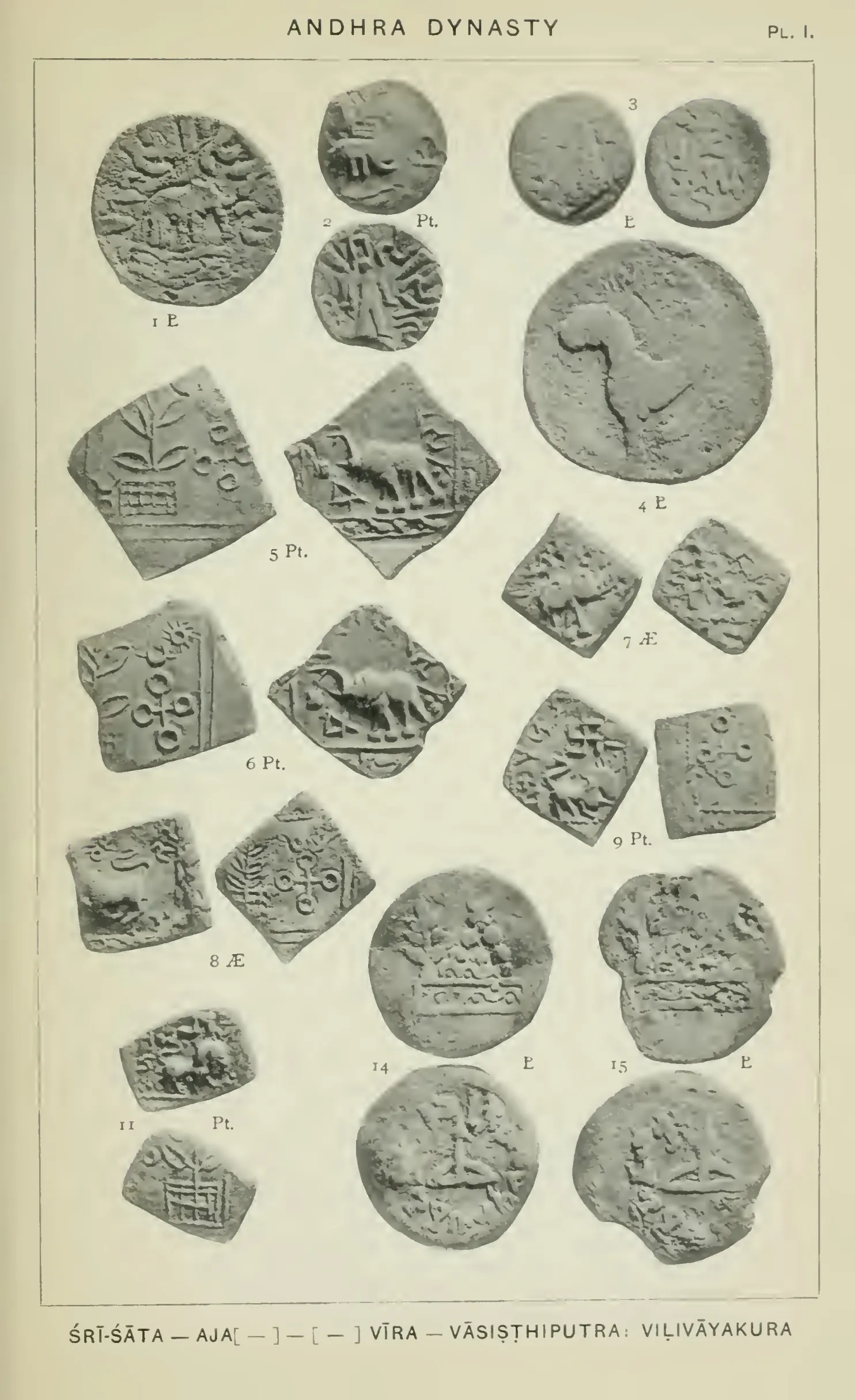 Photographic plate of about thirty old coins, round and square, showing an elephant, a horse, a tree, a stupa and other symbols, with a printed caption below.