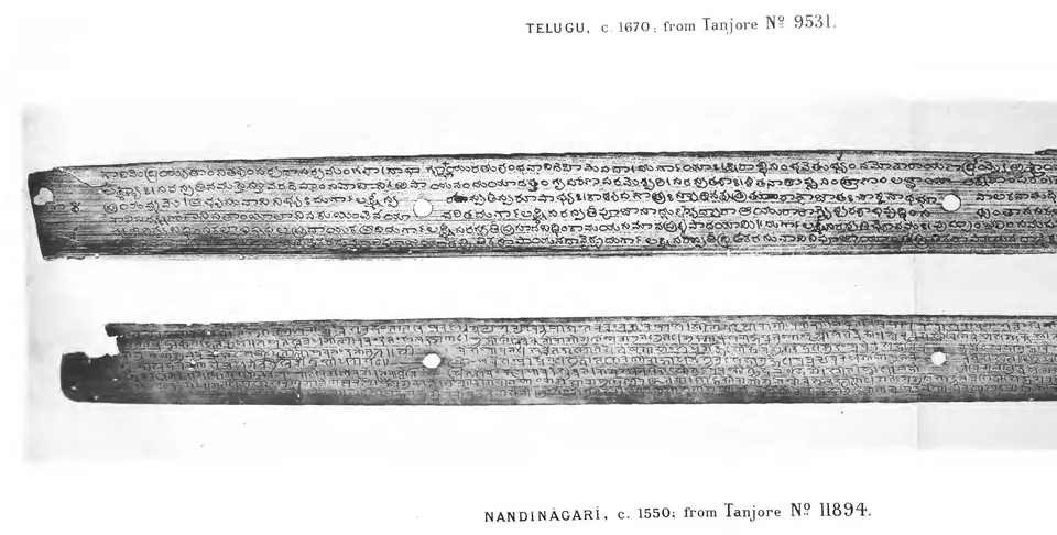 Photograph of two long, narrow palm leaves densely written in small script, each pierced by two string-holes; the upper leaf is in Telugu, the lower in Nandinagari.