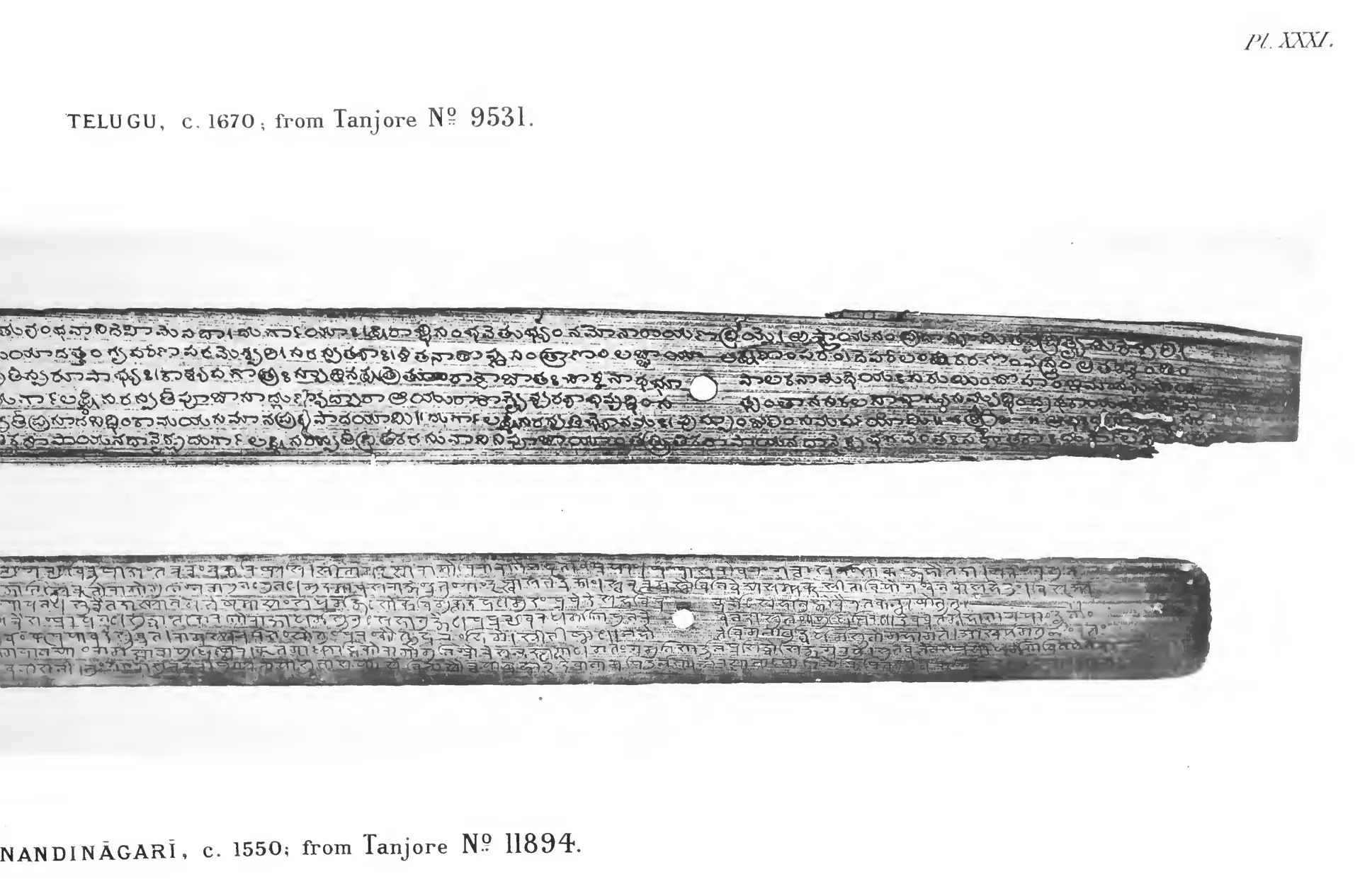 Right-hand ends of the same two palm leaves, with a string-hole in each and the worn, broken tip of the upper Telugu leaf.