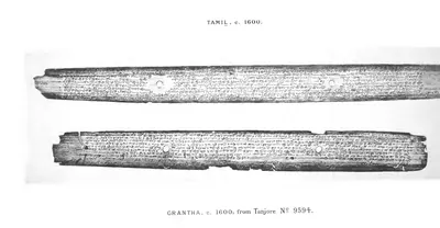Photograph of two long, narrow palm leaves with string holes, each covered in small closely written lines, the upper in Tamil script and the lower in Grantha.