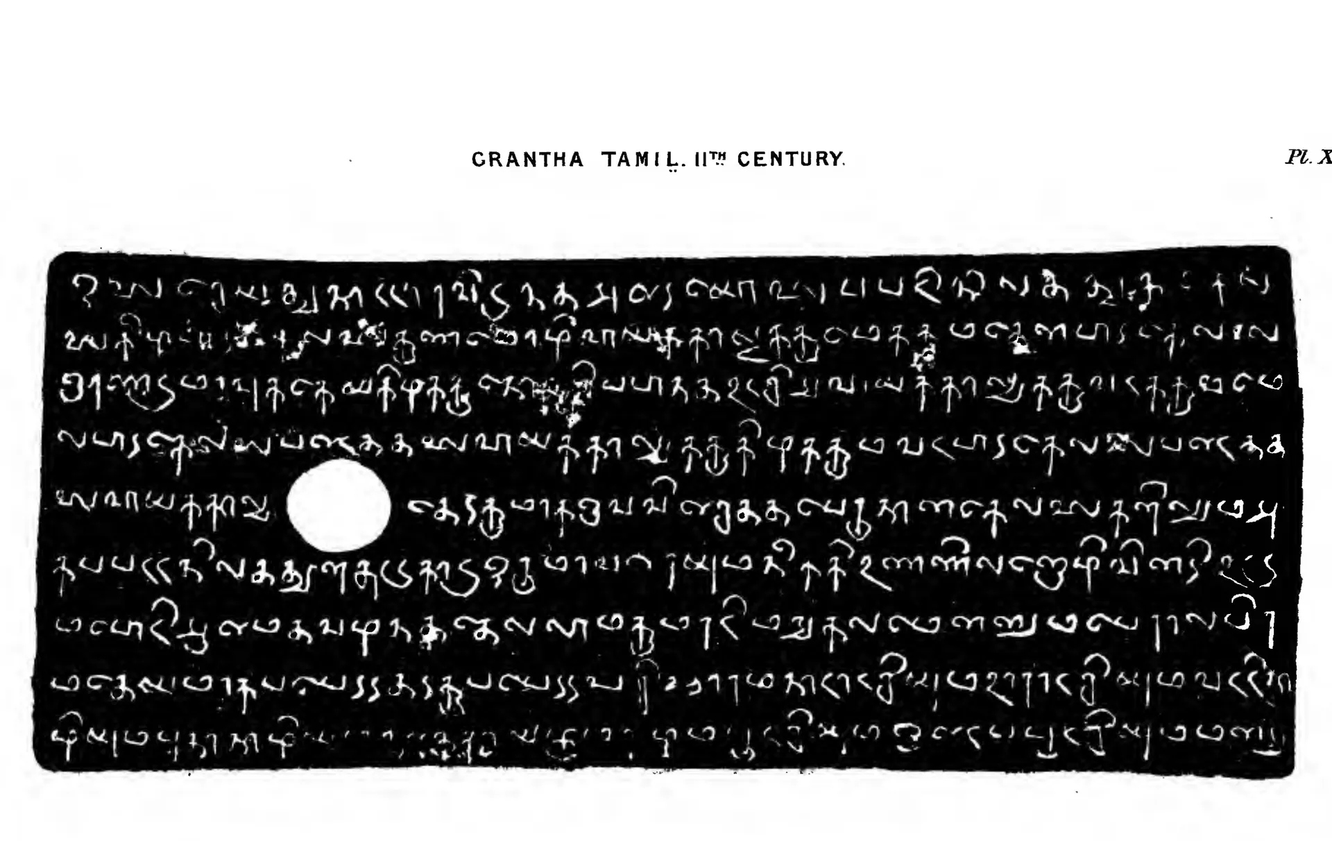 Facsimile of nine lines of rounded Grantha-Tamil letters, white on black, with a round ring-hole near the middle of the plate.