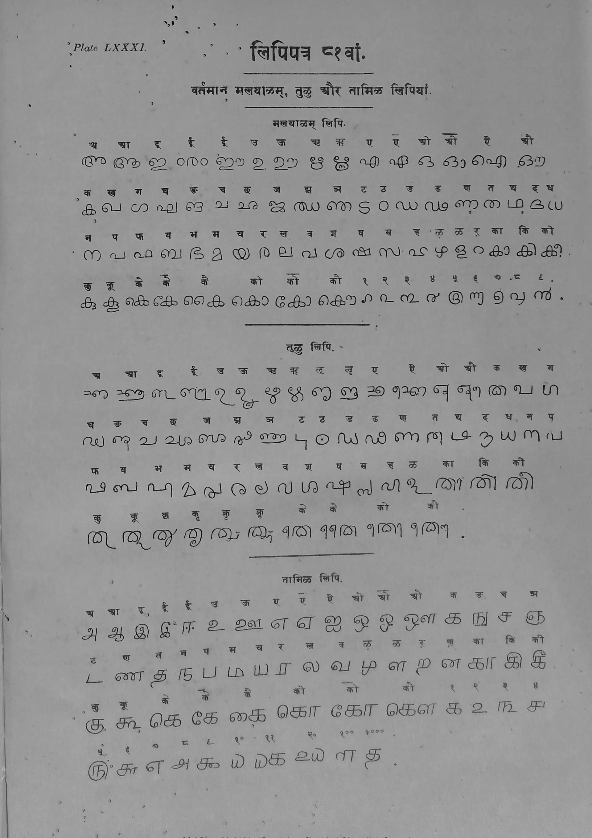 Printed plate of the modern Malayalam, Tulu and Tamil alphabets, each letter under its Devanagari equivalent.