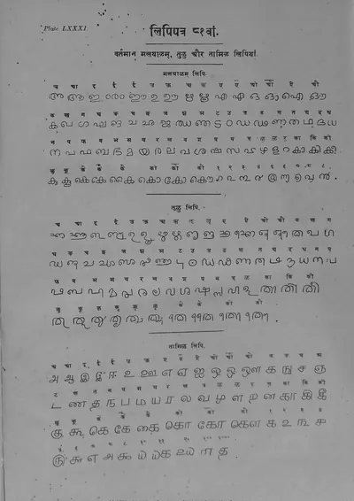 Printed plate of the modern Malayalam, Tulu and Tamil alphabets, each letter under its Devanagari equivalent.