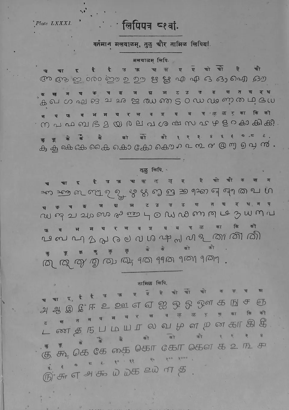 Printed plate of the modern Malayalam, Tulu and Tamil alphabets, each letter under its Devanagari equivalent.
