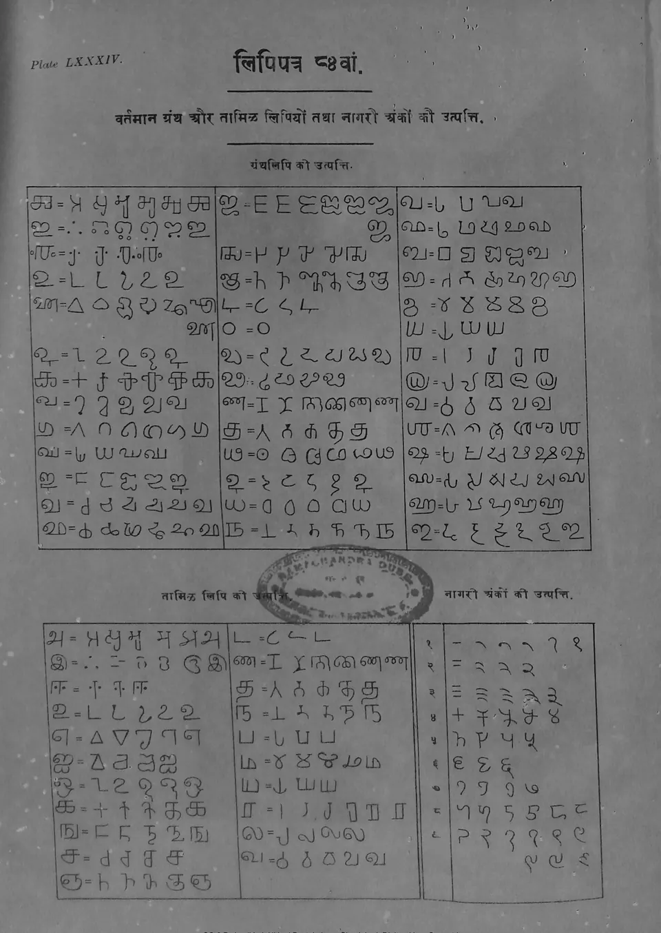 Printed chart in boxes showing, for each letter, a row of successive forms from early Brahmi to modern Grantha (upper part) and to modern Tamil (lower part).