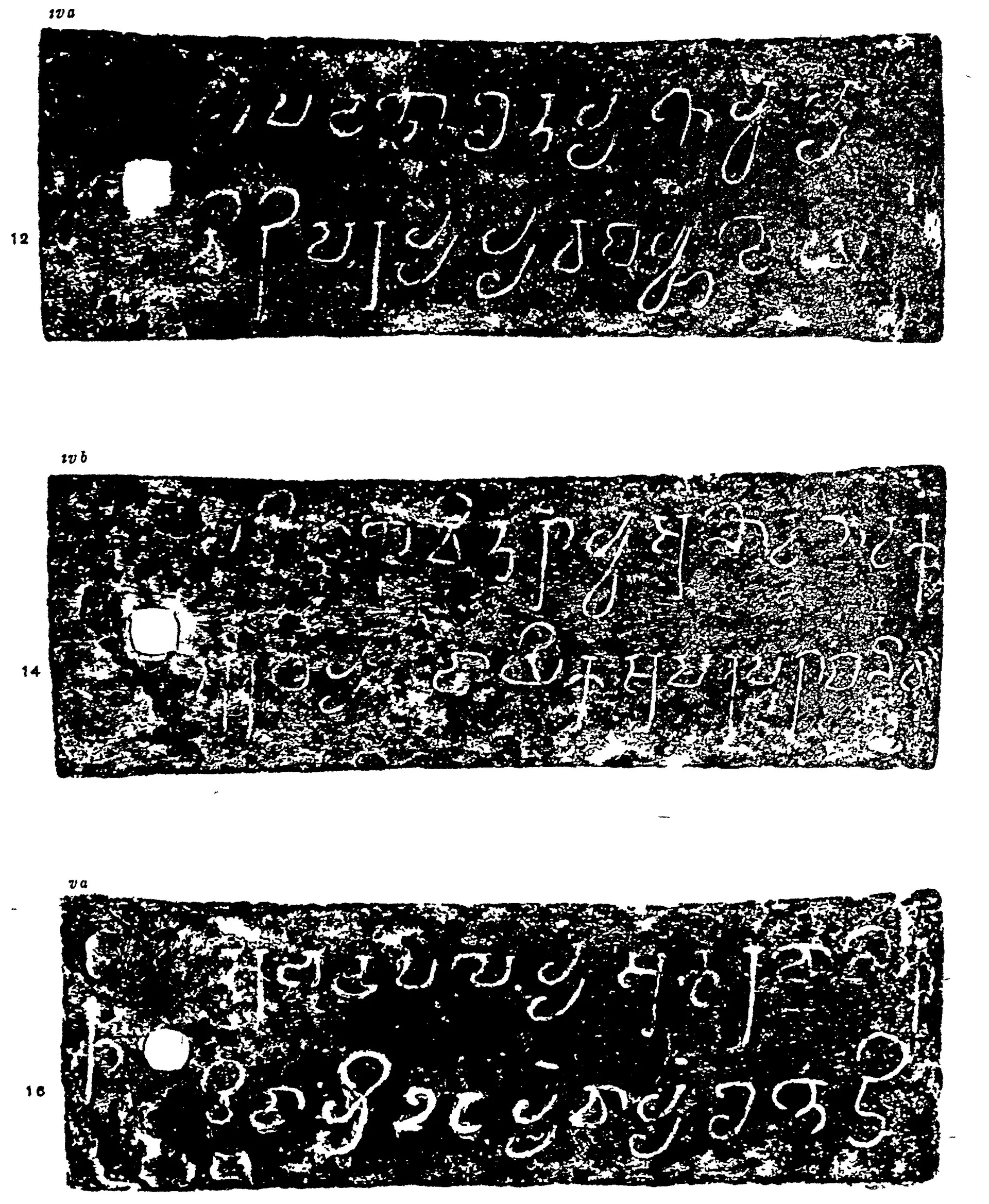 Ink impressions of three inscribed copper plates, white letters on black, two lines of large early southern Brahmi letters on each, with a ring hole at the left and line numbers 12, 14 and 16 in the margin.