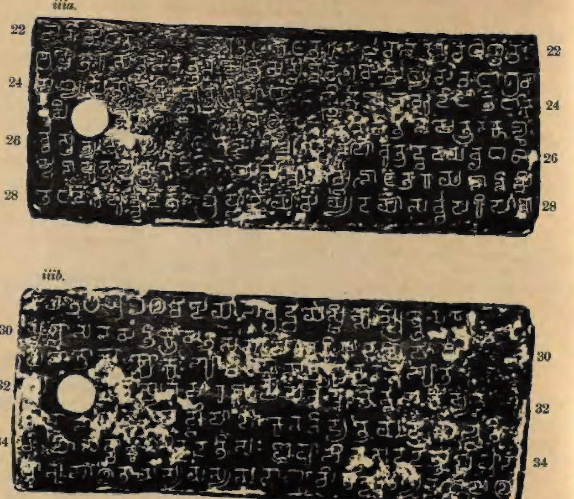 Ink impressions of two inscribed copper plates, worn and patchy, with letters of southern (Pallava) script, a ring hole at the left and line numbers 22 to 34.