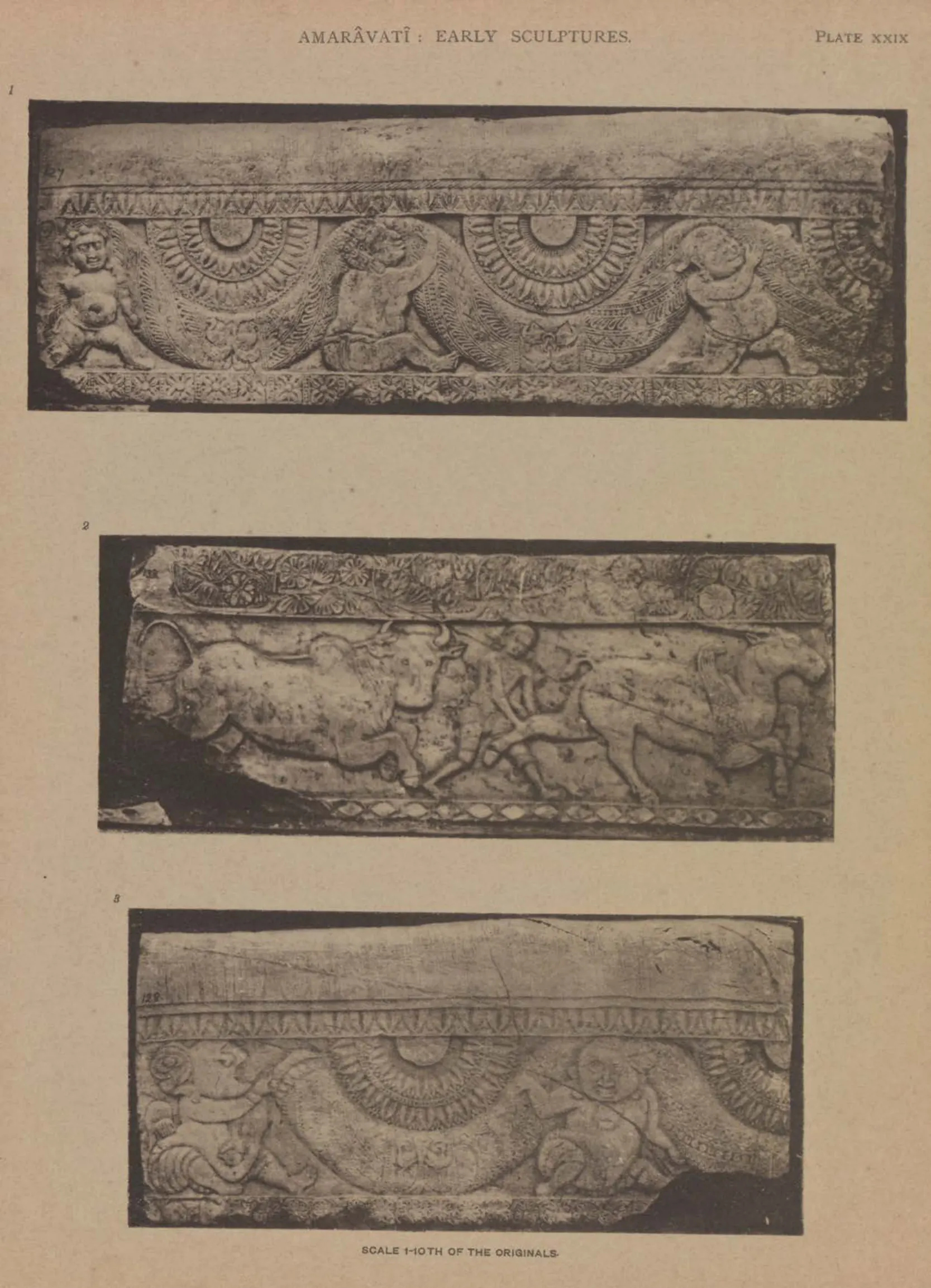 Collotype of three long fragments of early coping carved with garlands and animals.