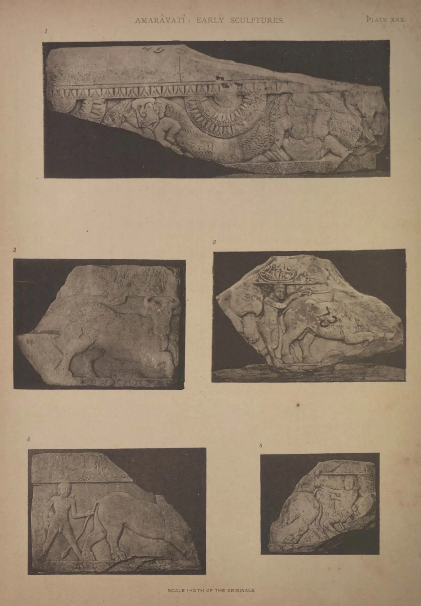 Collotype of five fragments of early carved coping.