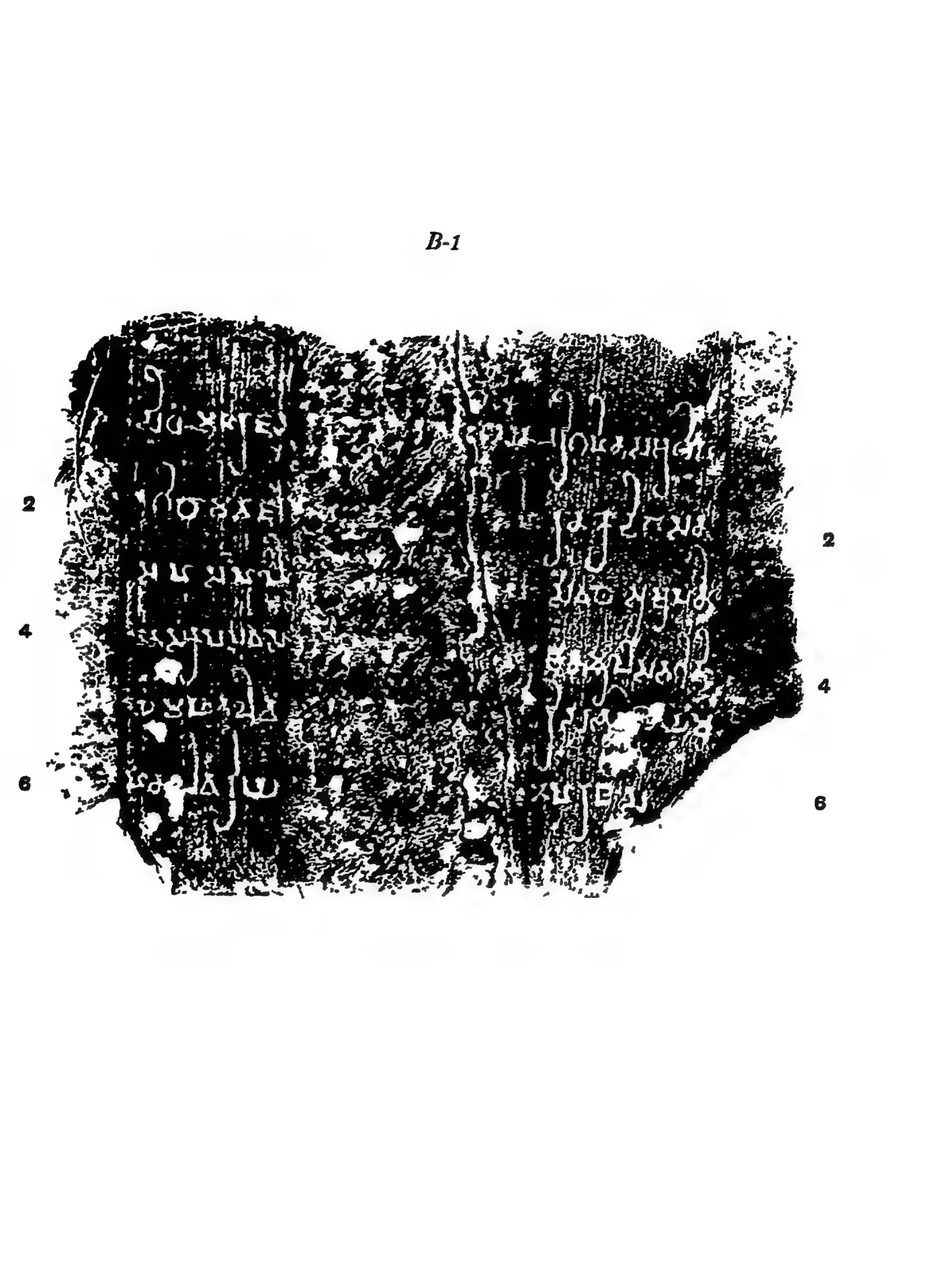 Estampage of a fragmentary Prakrit inscription in Brahmi on an ayaka pillar of the Great Stupa, with line numbers.