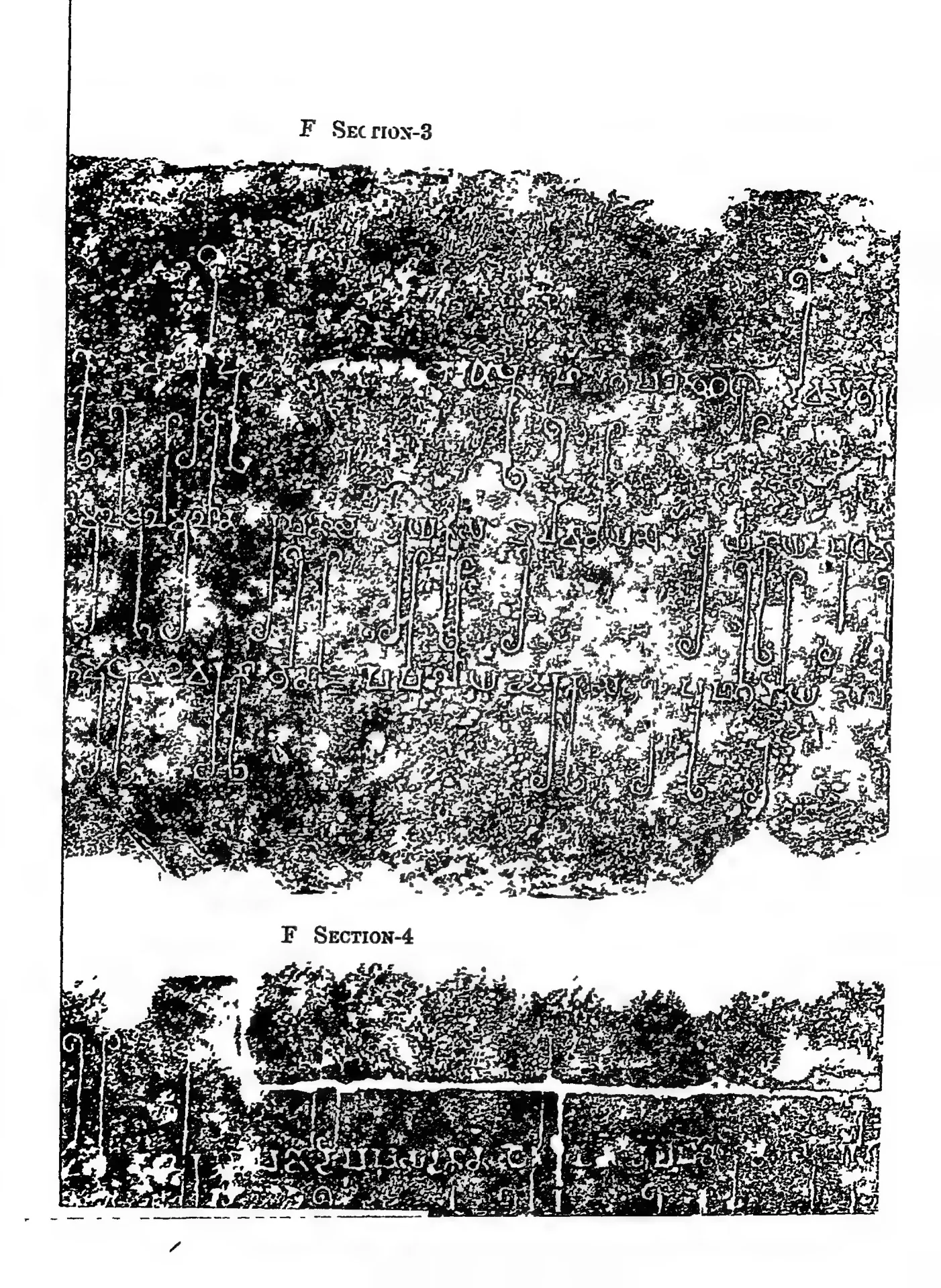 Estampage of two sections of a long Prakrit floor inscription in Brahmi from an apsidal shrine at Nagarjunakonda.