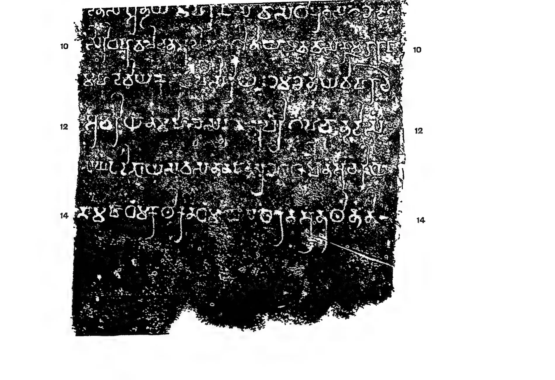 Estampage of the closing lines of a Prakrit inscription in Brahmi on a stone pillar, with line numbers.