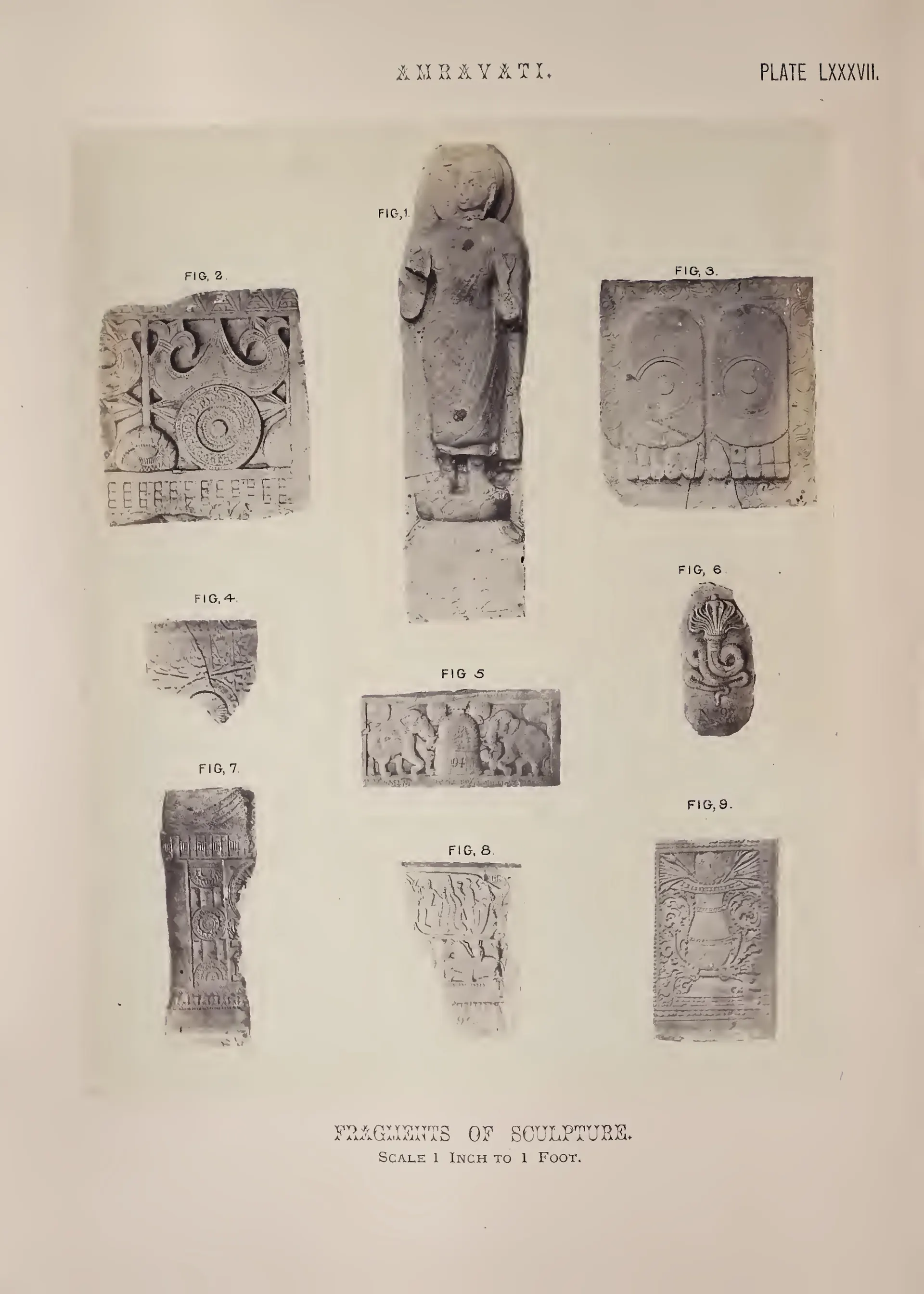 Photograph of a standing Buddha figure and several carved fragments.