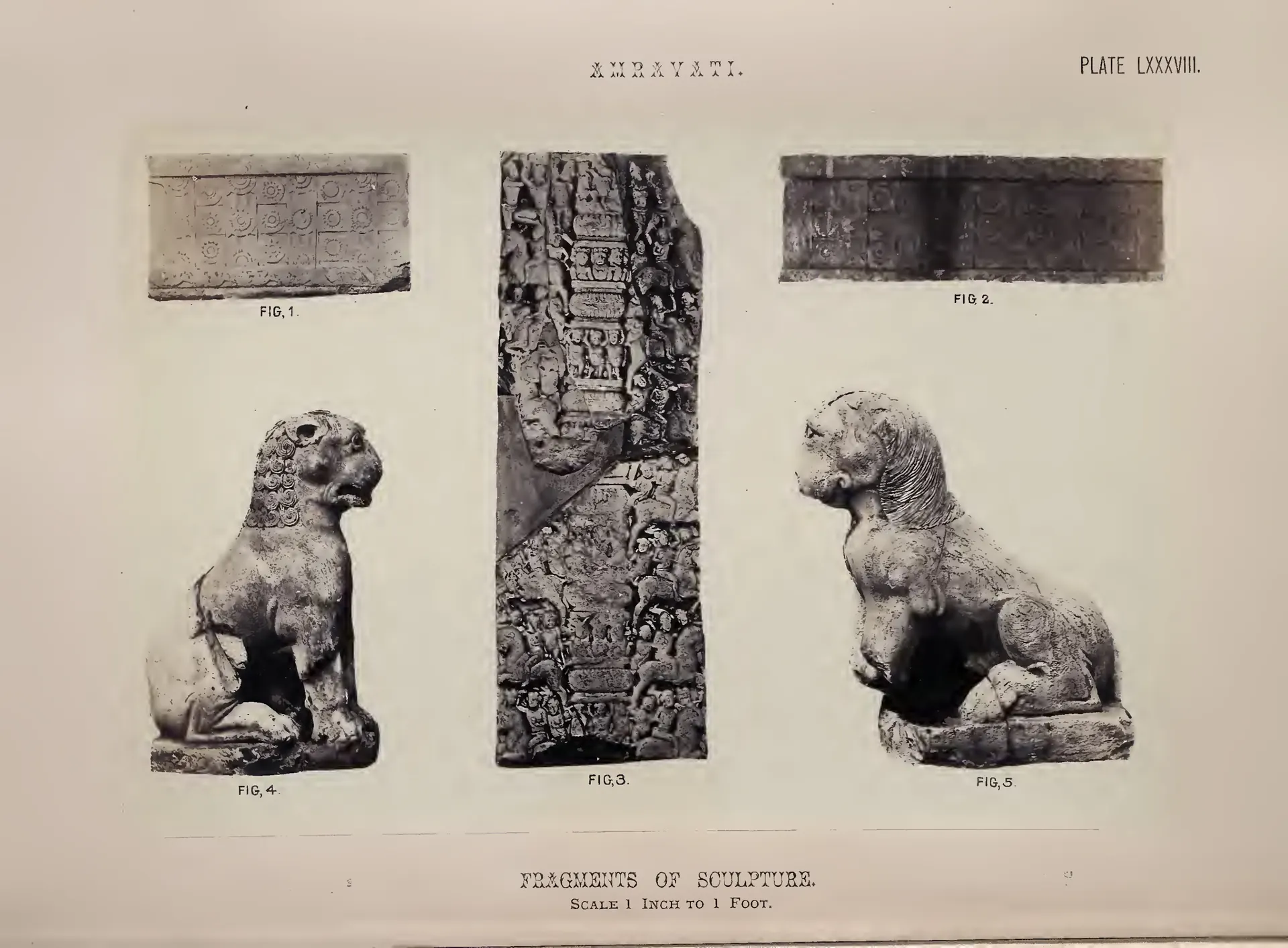 Photograph of two seated lion figures, a carved pillar fragment and two frieze pieces.