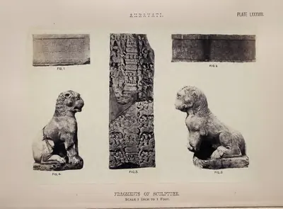 Photograph of two seated lion figures, a carved pillar fragment and two frieze pieces.