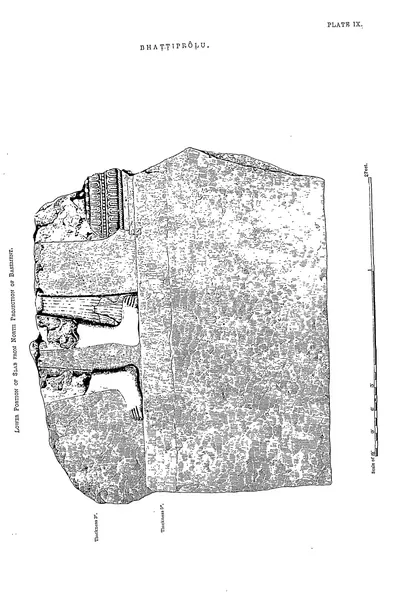 Drawing of a large fragment of a carved slab from the stupa basement.