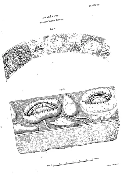 Drawing of two carved fragments with lotus and scroll ornament.