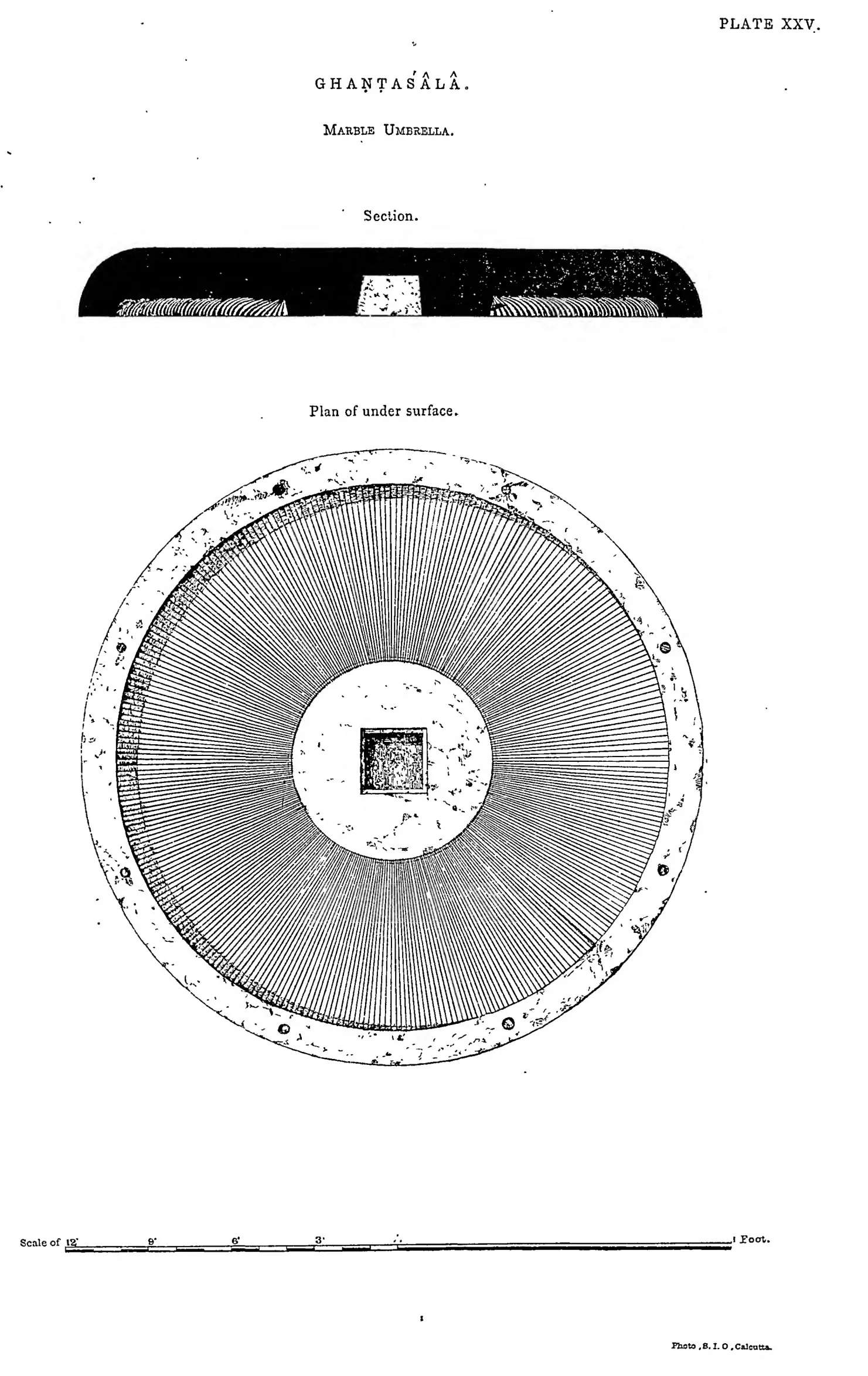 Drawing of a circular marble umbrella in section and plan.