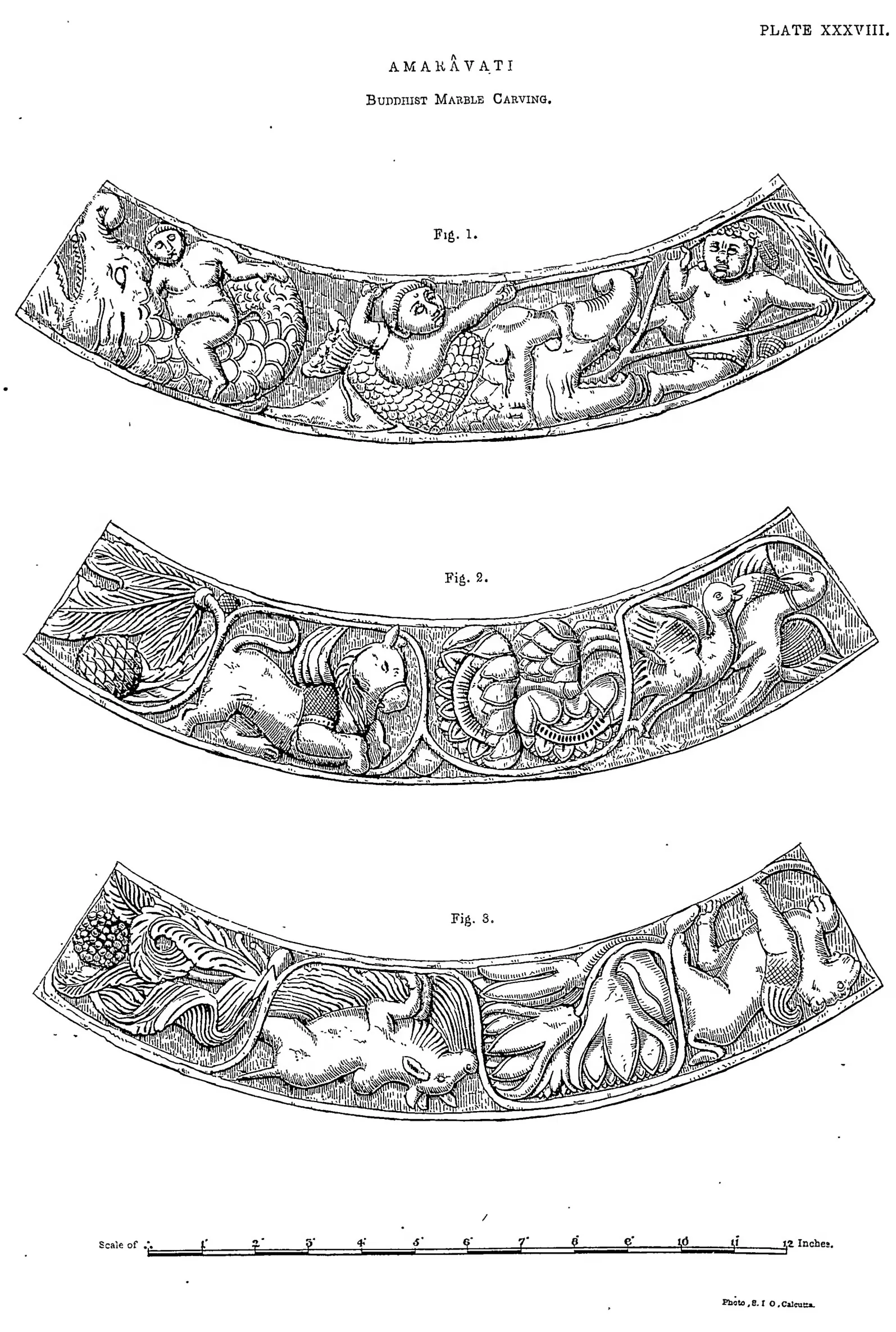 Drawing of three curved coping fragments carved with animals and foliage.