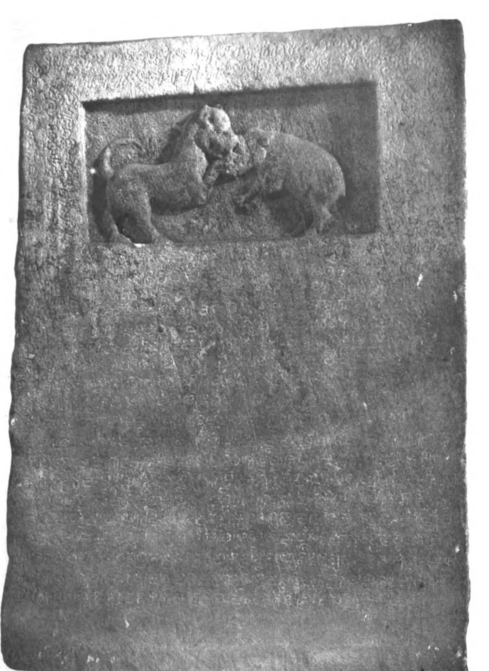 Photograph of an upright stone slab; a sunk panel at the top holds a relief of a hound and a wild boar locked in combat; the inscribed face below is worn and hardly legible in the photograph.