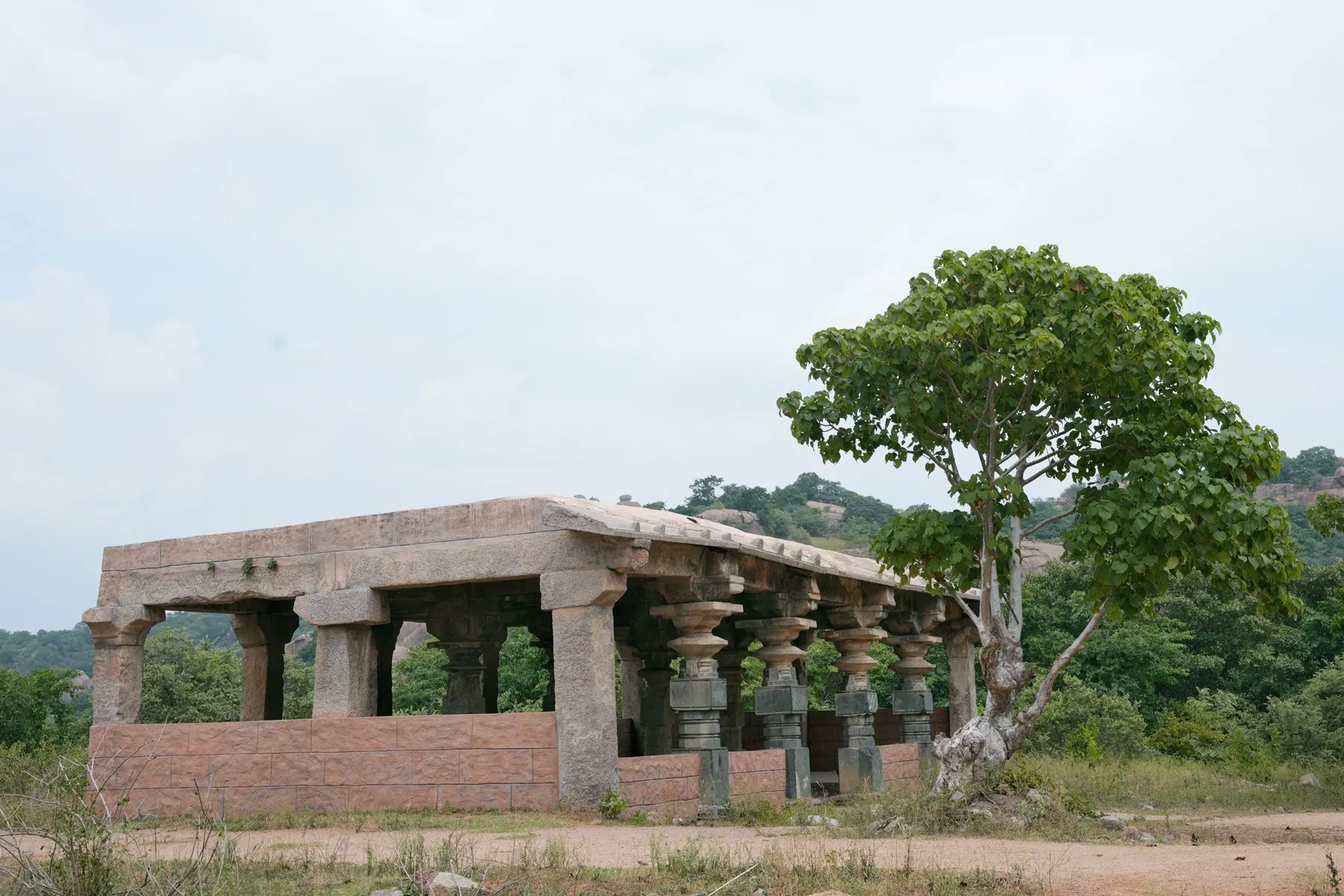 Colour photograph of a ruined flat-roofed stone hall with a row of carved square pillars on a raised plinth, a tree growing beside it and wooded hills behind.
