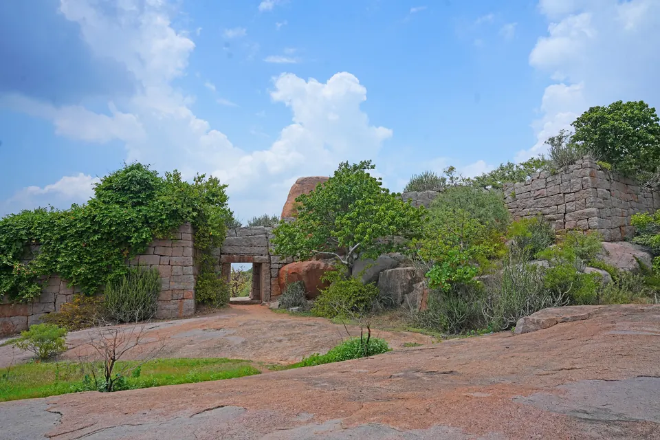 Colour photograph of a granite rock surface in front of a ruined fort wall of large dressed stone blocks, overgrown with trees and creepers, with a square gateway in the wall.