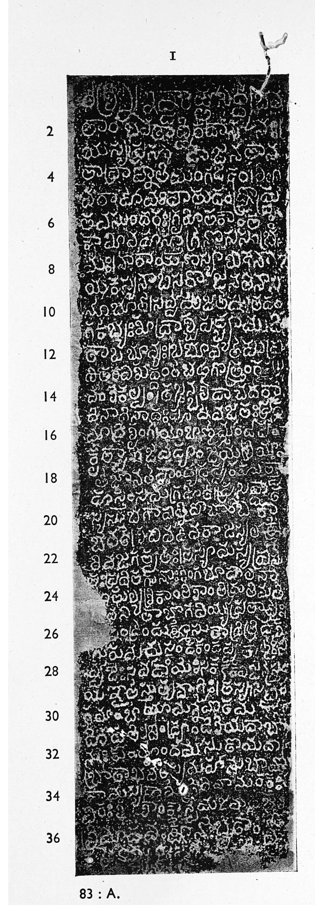 Photograph of an ink impression of a tall narrow inscribed stone face, white Telugu letters on a black ground in close lines, with even line numbers 2 to 36 in the left margin.