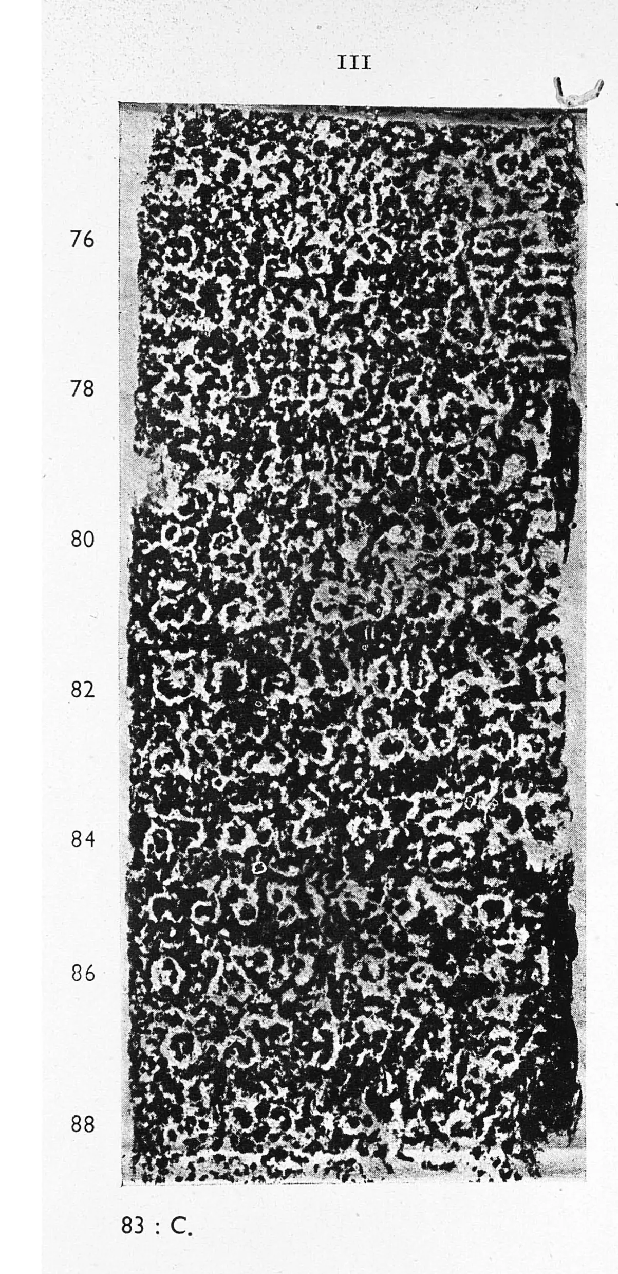 Photograph of an ink impression of a worn inscribed stone face, large white Telugu letters on black in uneven lines, with line numbers 76 to 88 in the left margin.