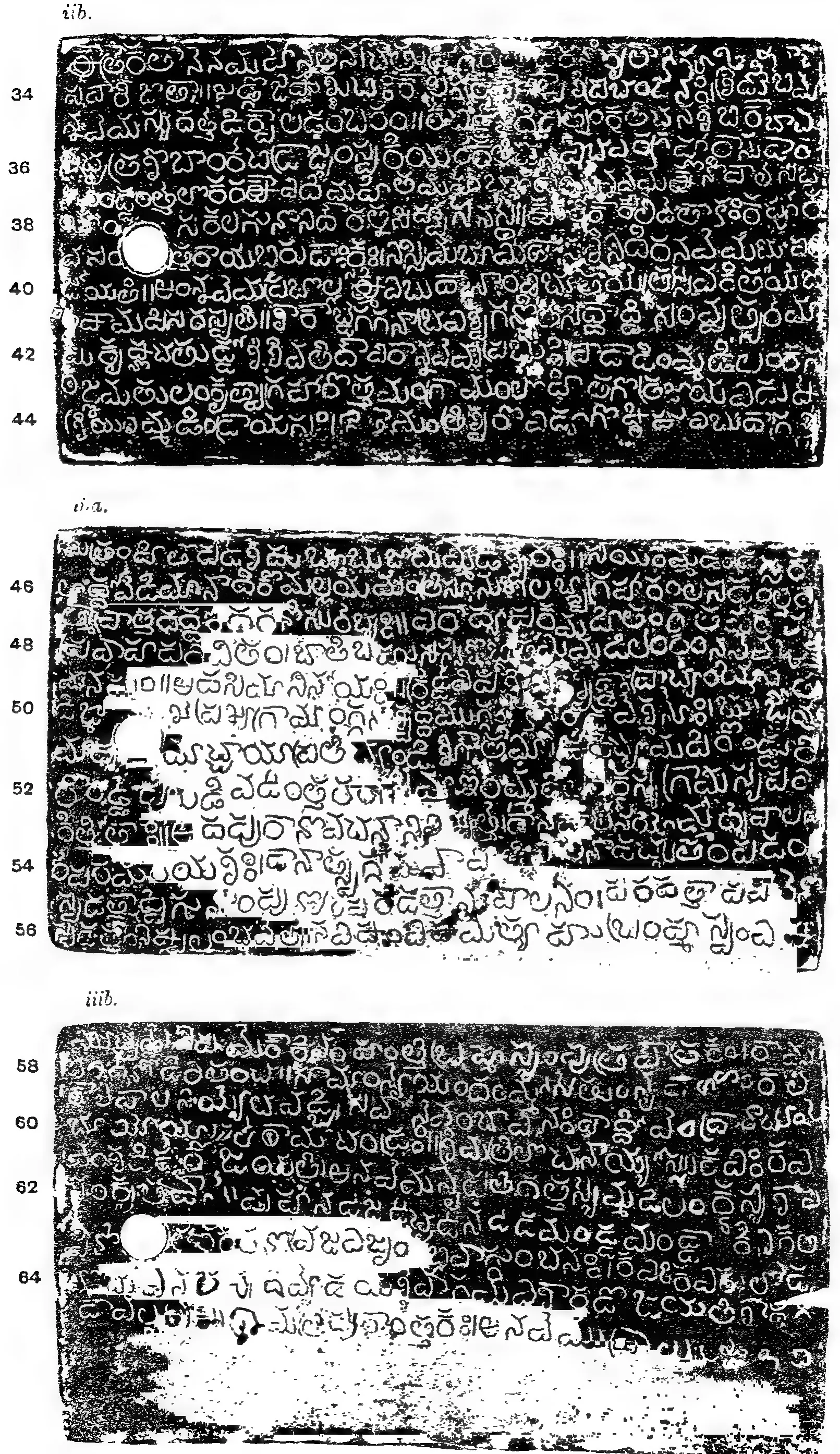 Ink impressions of three more faces of the same copper plates, mostly white Telugu letters on black with large blank patches where the impression failed; ring hole at the left, line numbers 34-64.
