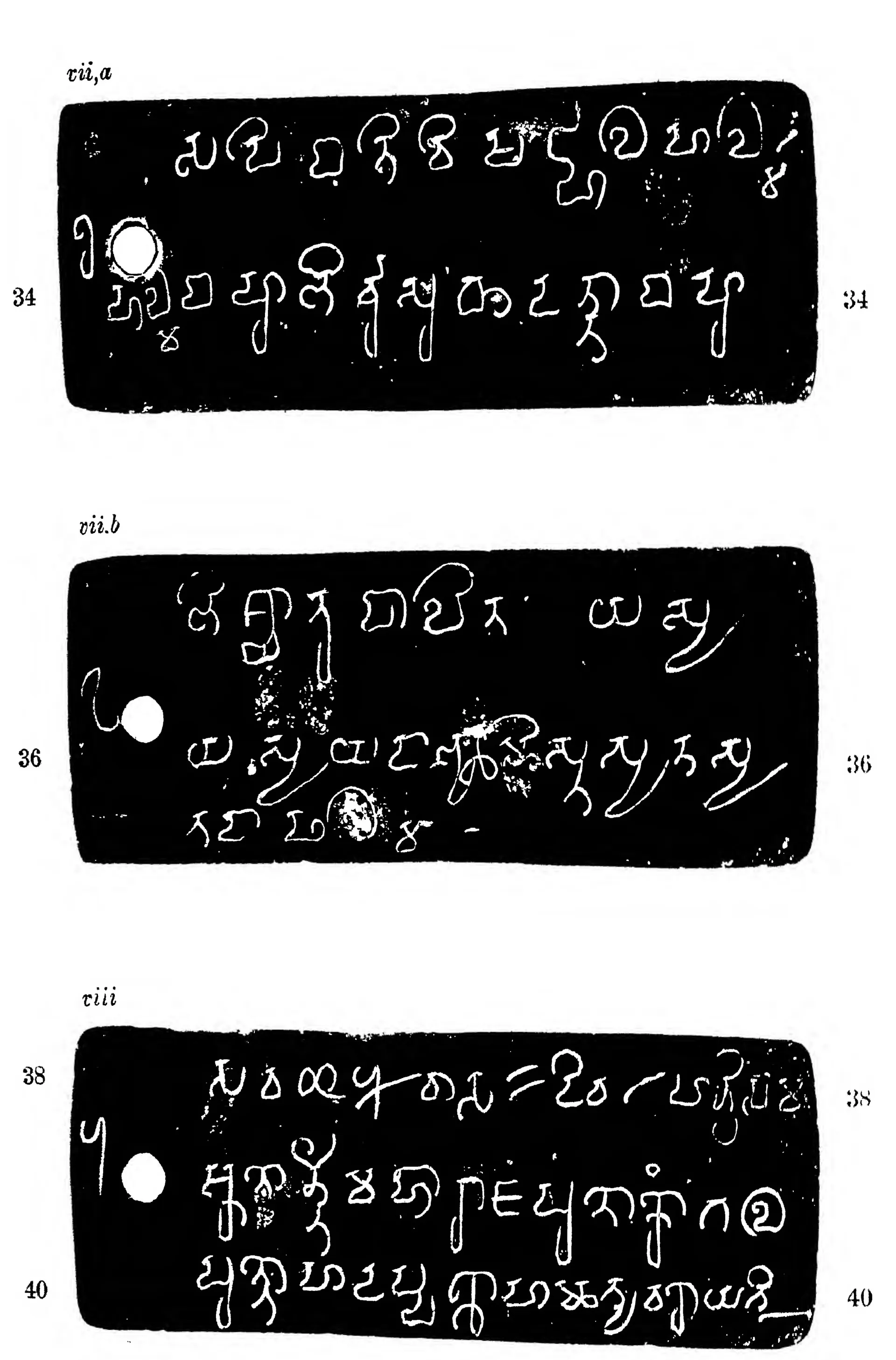 Ink impressions of three inscribed copper plates, white letters on black, each with a ring hole and two or three lines of early southern Brahmi script, labelled vii a, vii b and viii, with line numbers 34 to 40.
