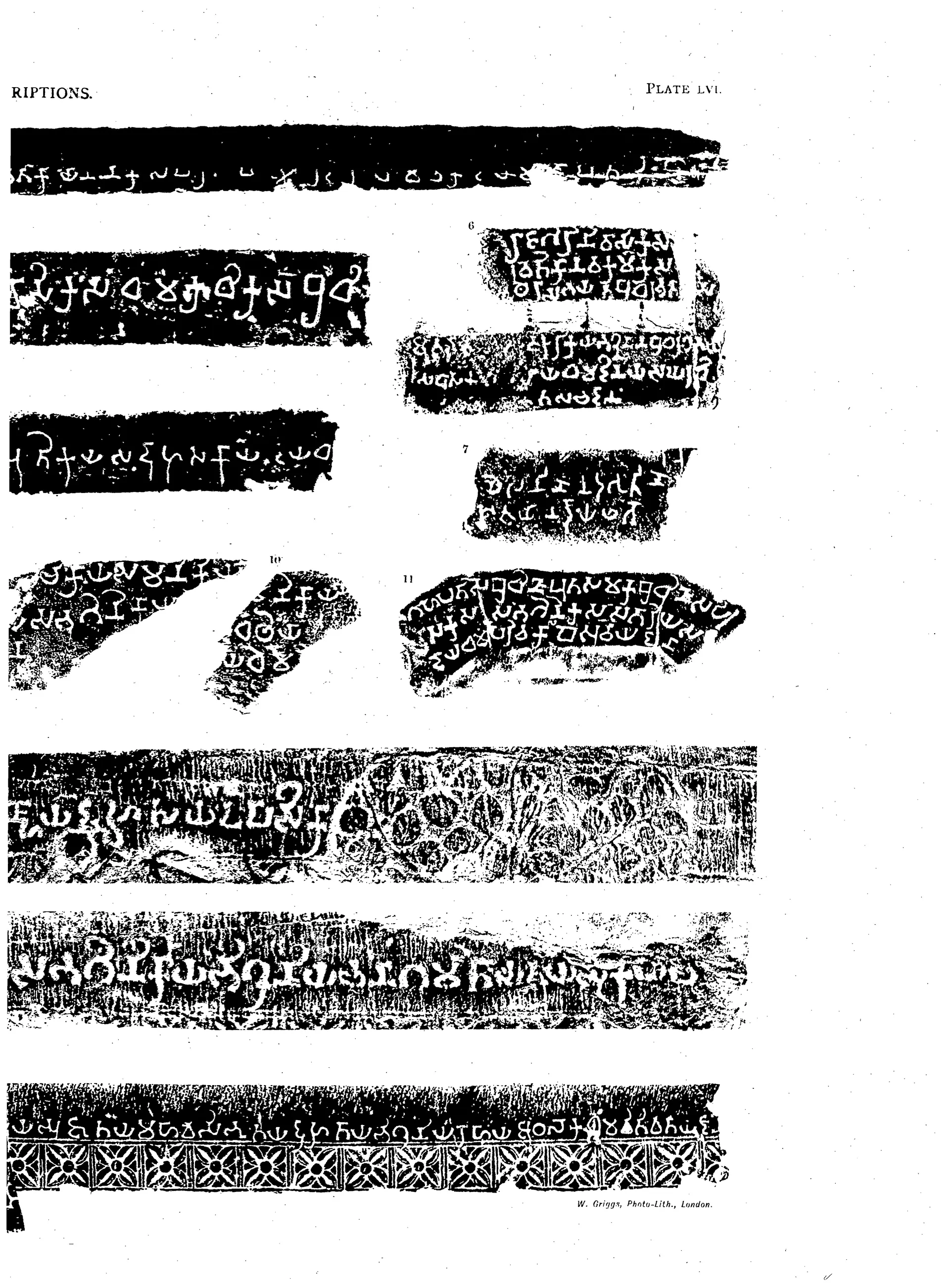 Right half of a plate of black inscription facsimiles with white Brahmi letters; short fragments numbered 6, 7, 10 and 11 at the top right, and long strips below, the lowest with a band of carved flowers.
