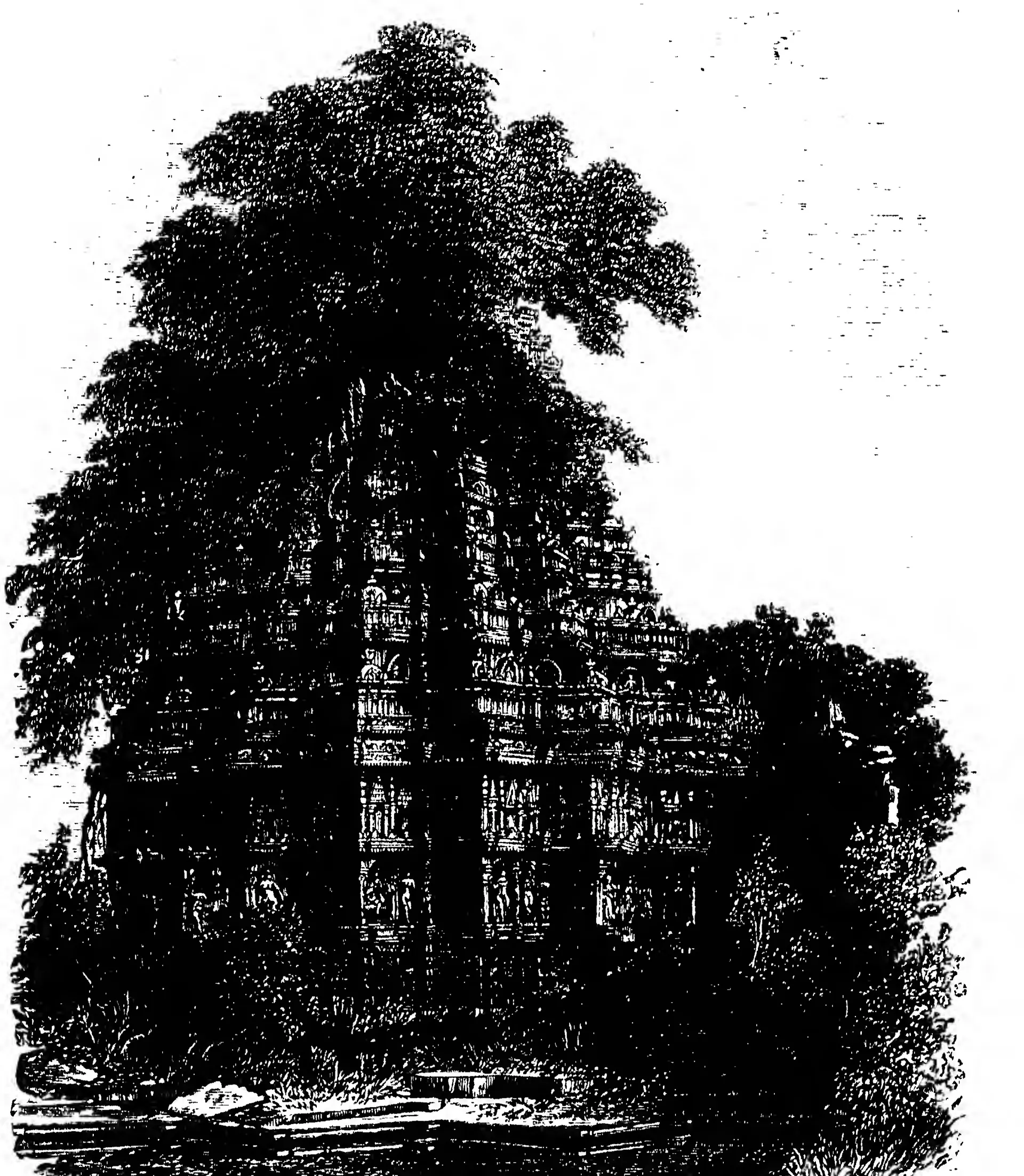 Old wood engraving of a carved stone temple half hidden by a large spreading tree and bushes, with fallen stones in front.