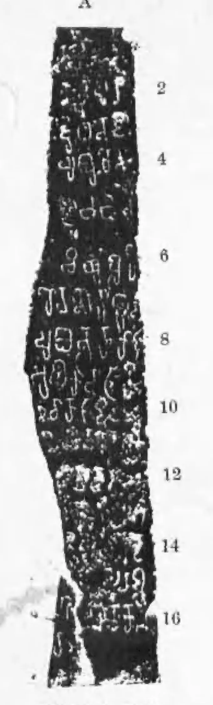 Ink impression of a tall, narrow broken pillar face with seventeen short lines of large early Telugu-Kannada letters, white on black; line numbers 2 to 16 in the margin; the foot of the stone is broken.