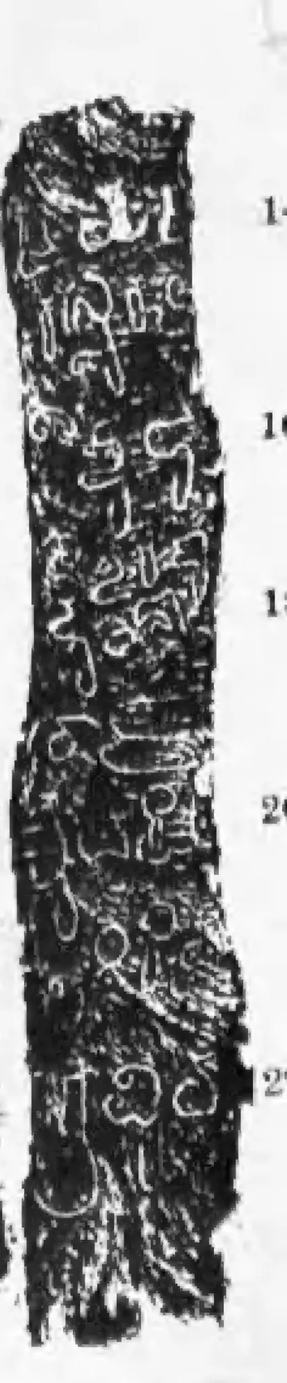Ink impression of a narrow stone face with short lines of cursive early Telugu letters; the line numbers 14 to 22 at the right edge are partly cut off in the scan.