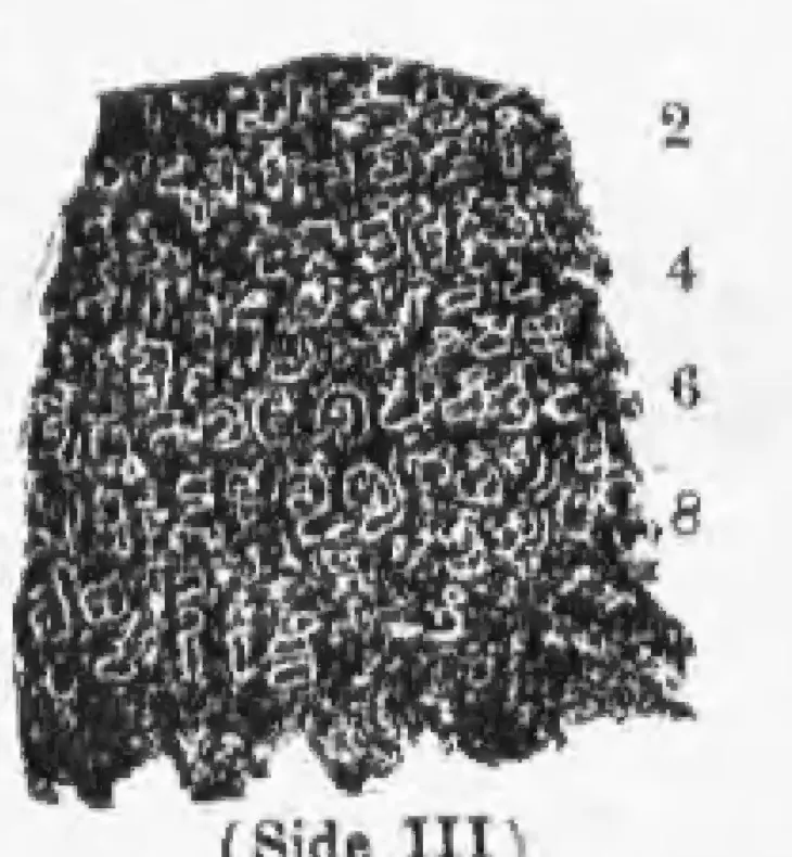 Photograph of a rough stone fragment covered with lines 2 to 8 of early Telugu letters, line numbers on the right.