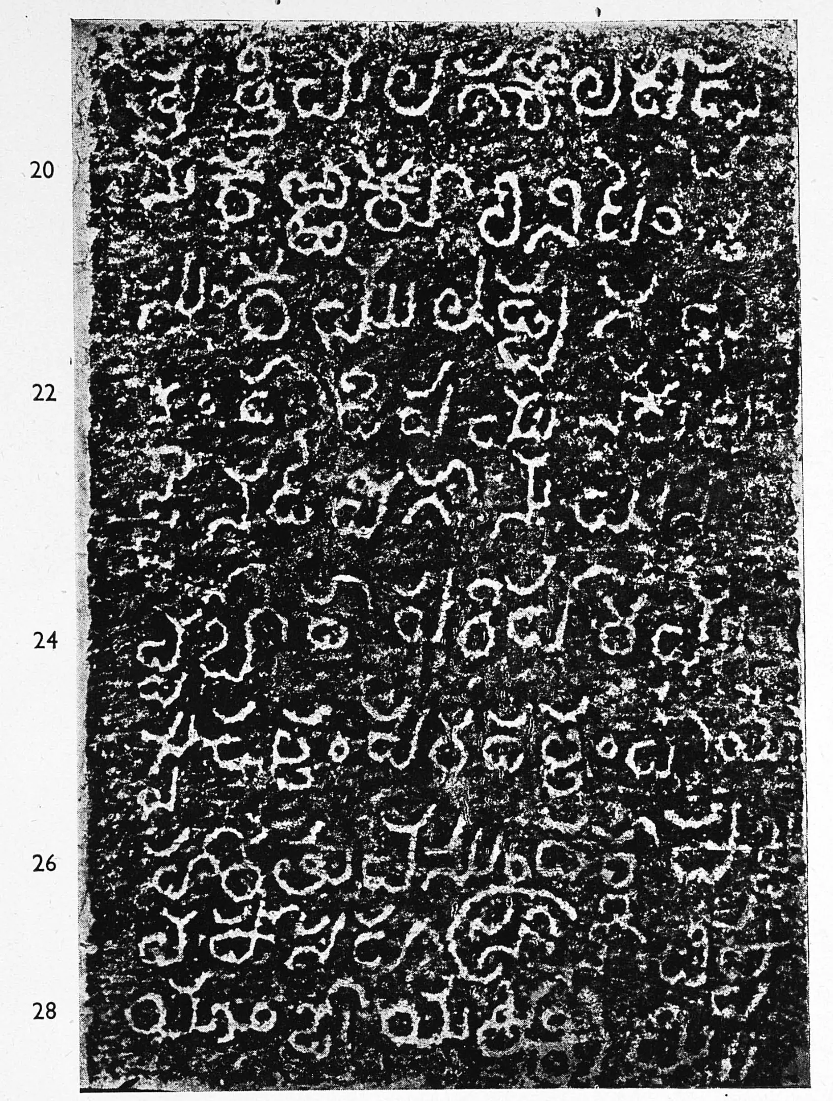 Ink impression of a third inscribed pillar face, large white Telugu letters on black, ten lines numbered 20 to 28.