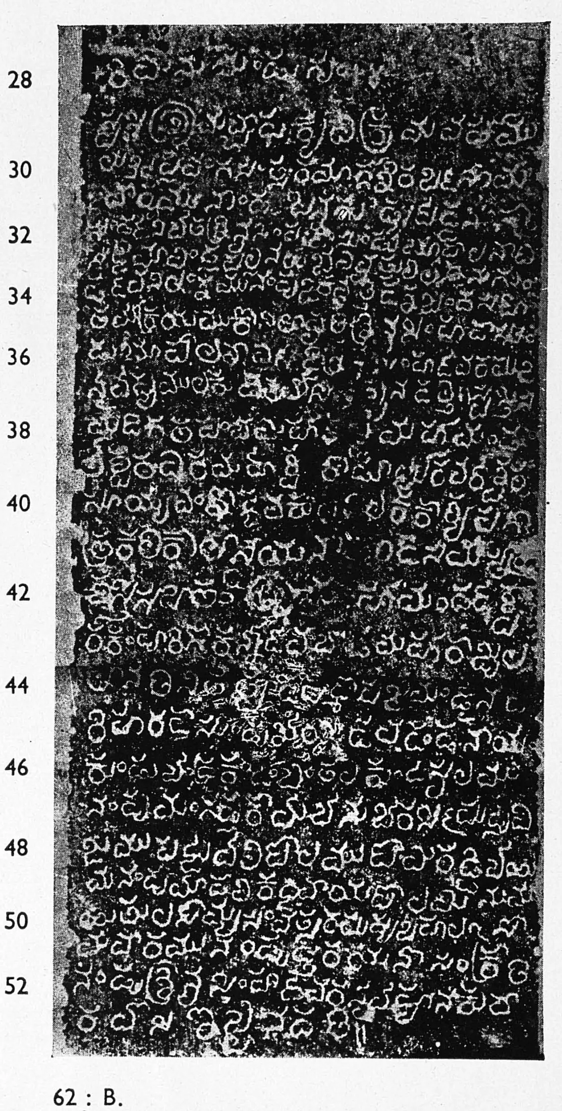 Ink impression of the second inscribed face of the pillar, small white Telugu letters on black, lines numbered 28 to 52.